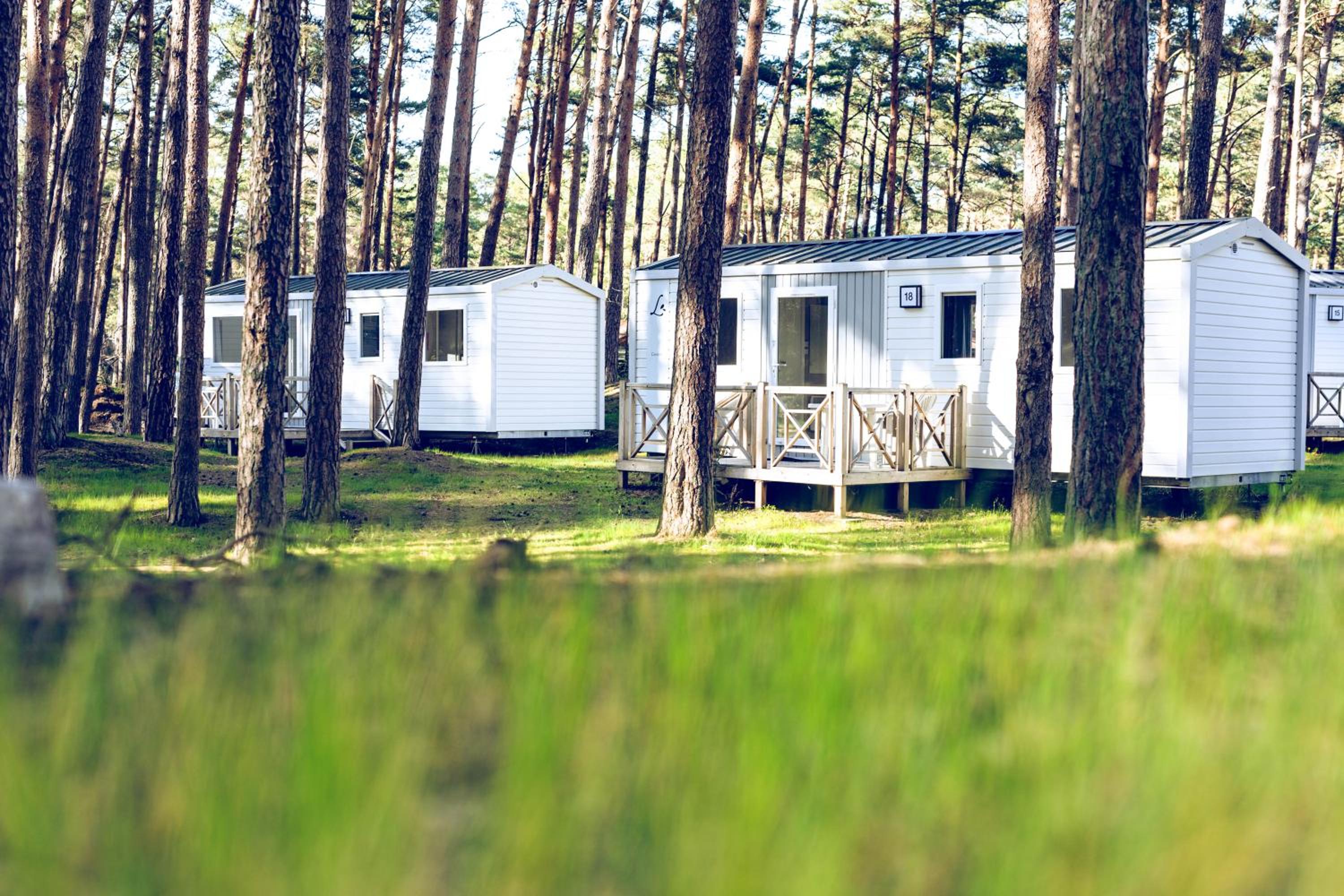 Mobile Home - Area E photo 1