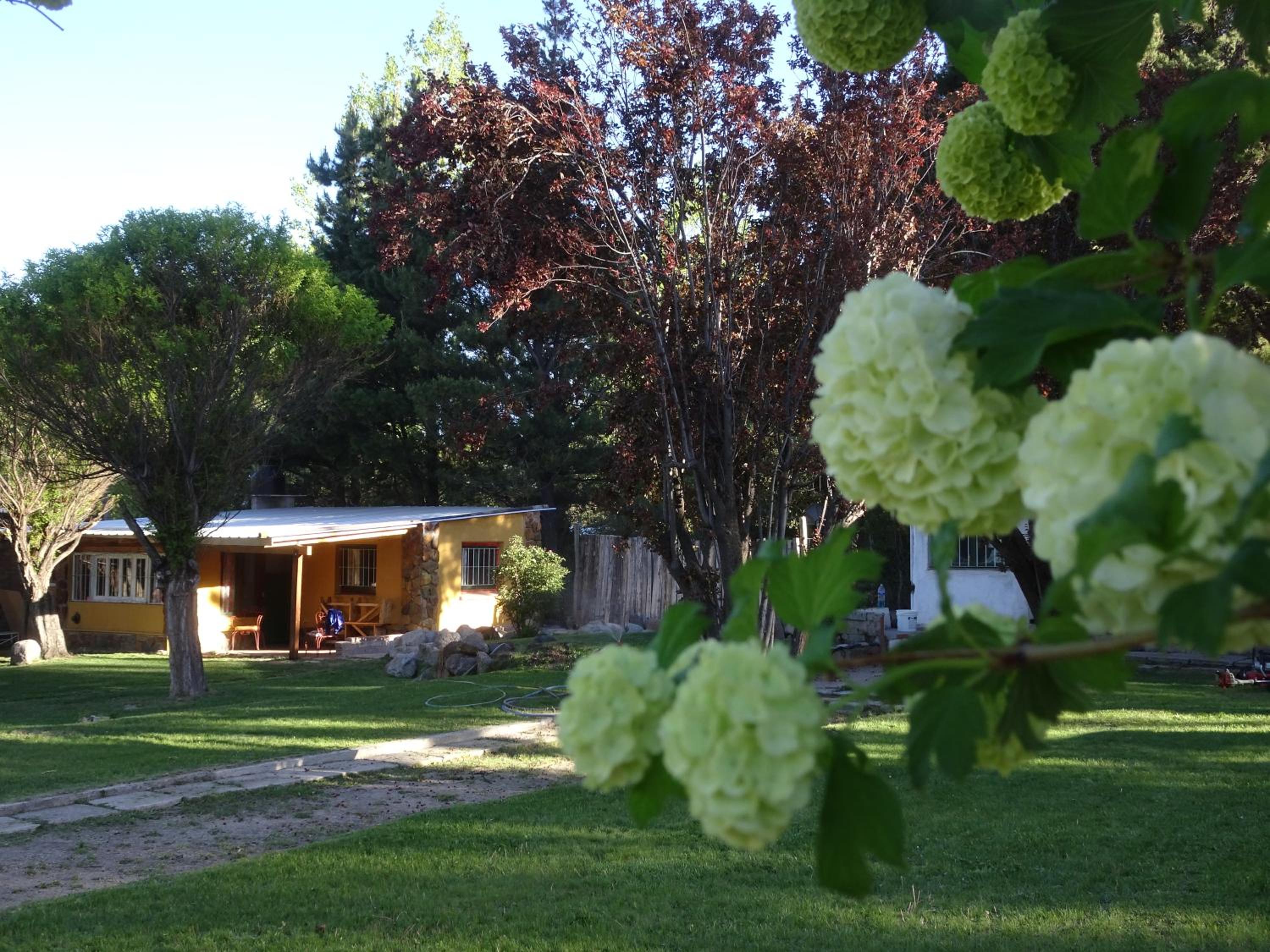 Two-Bedroom Cottage photo 2