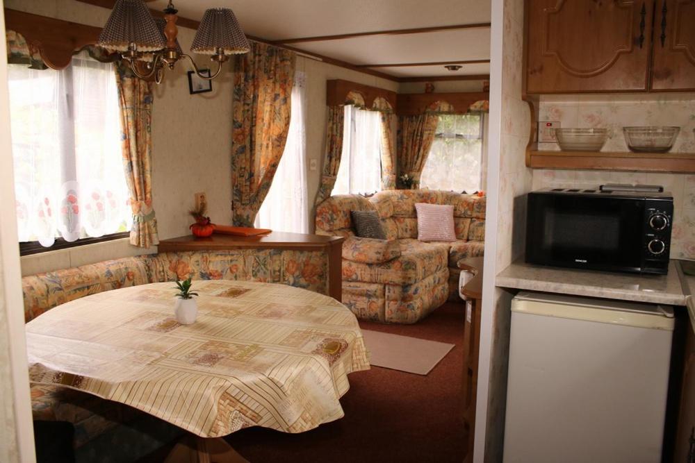 Mobile Home photo 2