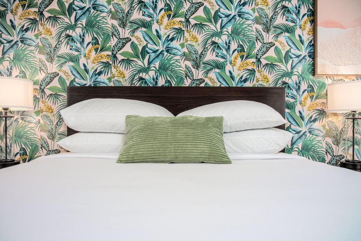 Standard Double Room - Photo 1