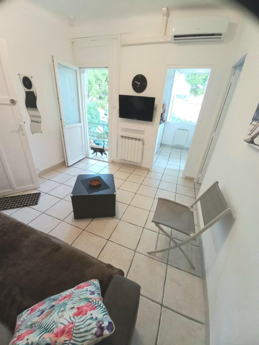 Standard Apartment