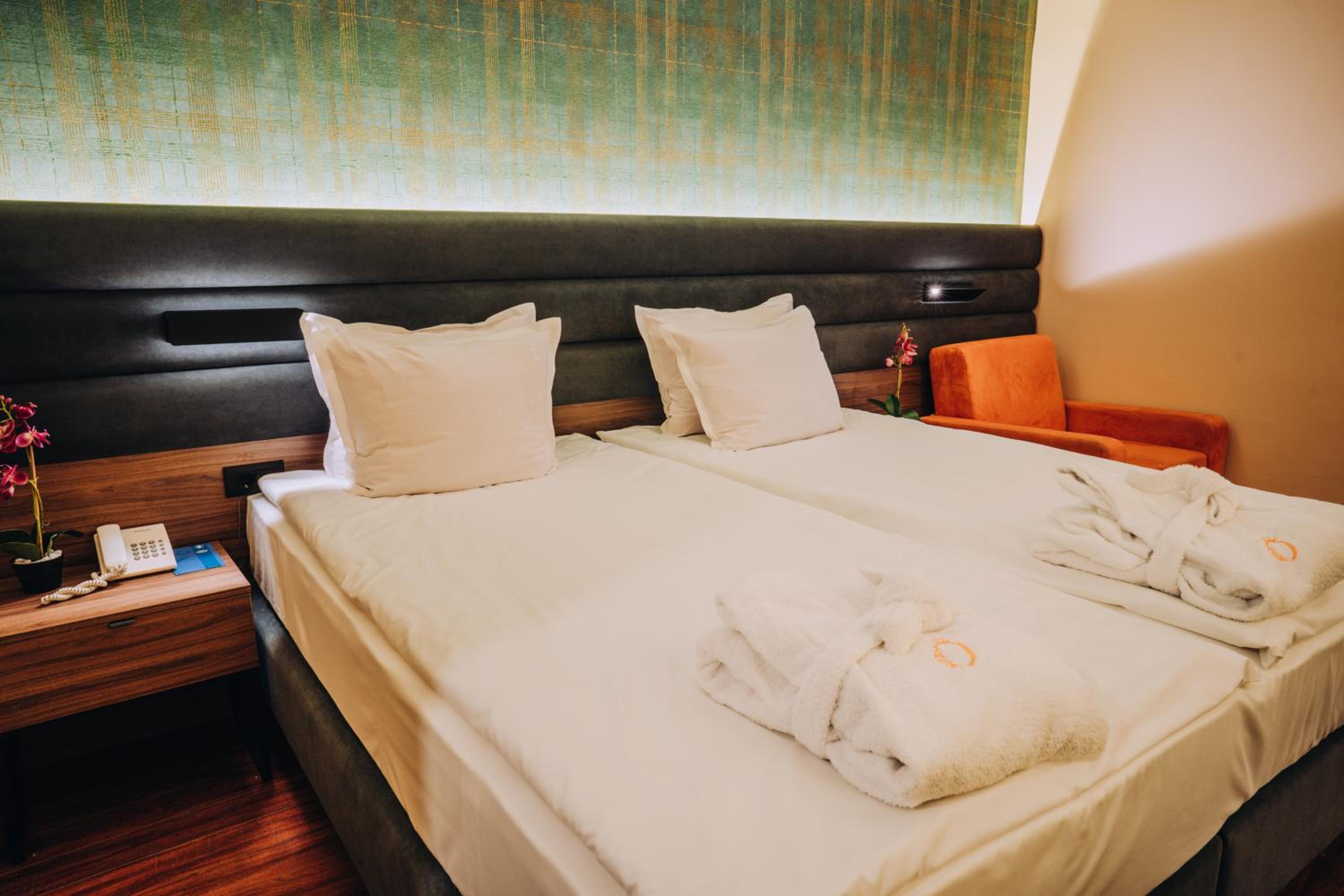 Double Room with Mountain View