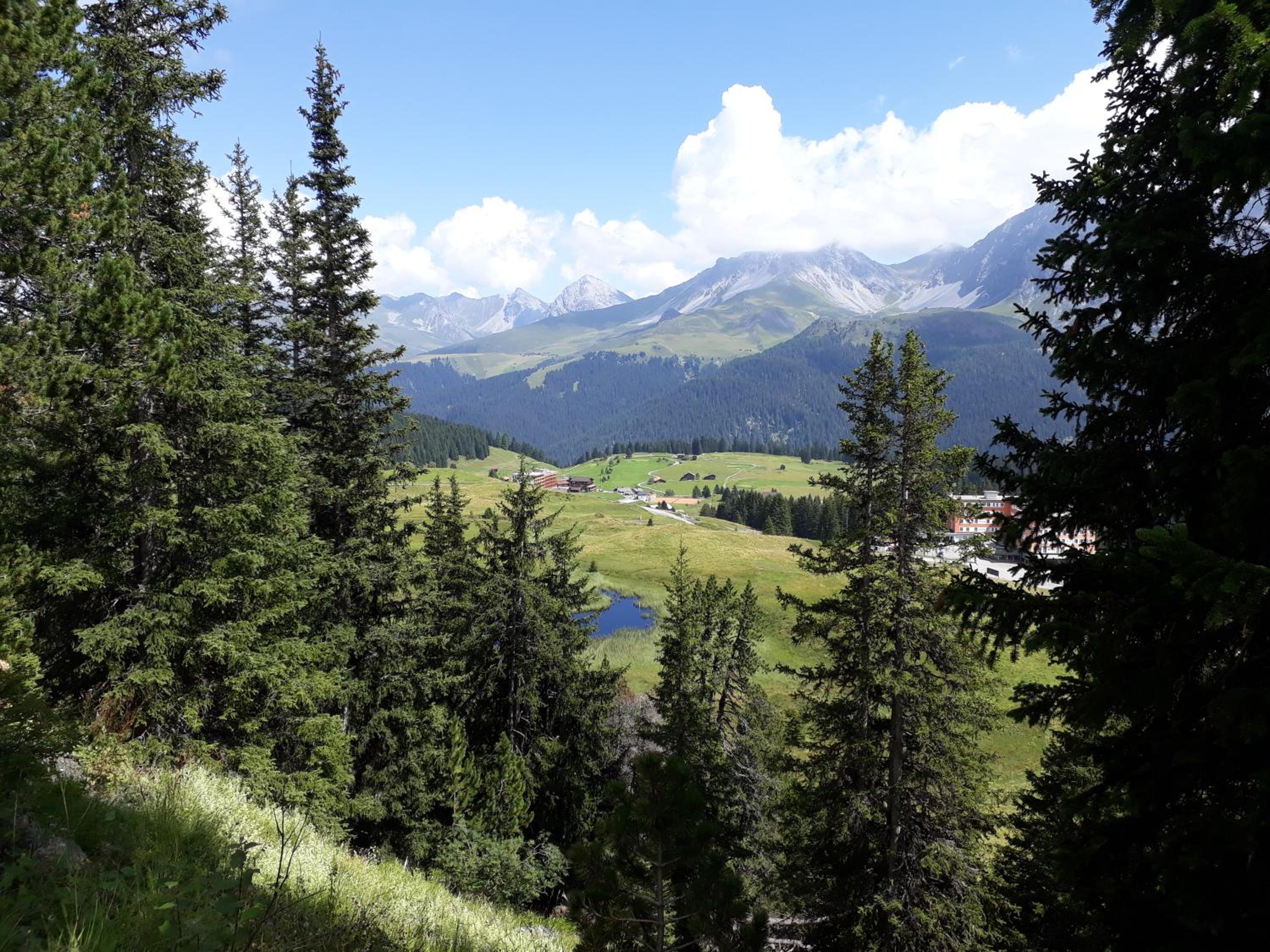 Two-Bedroom Apartment photo 3