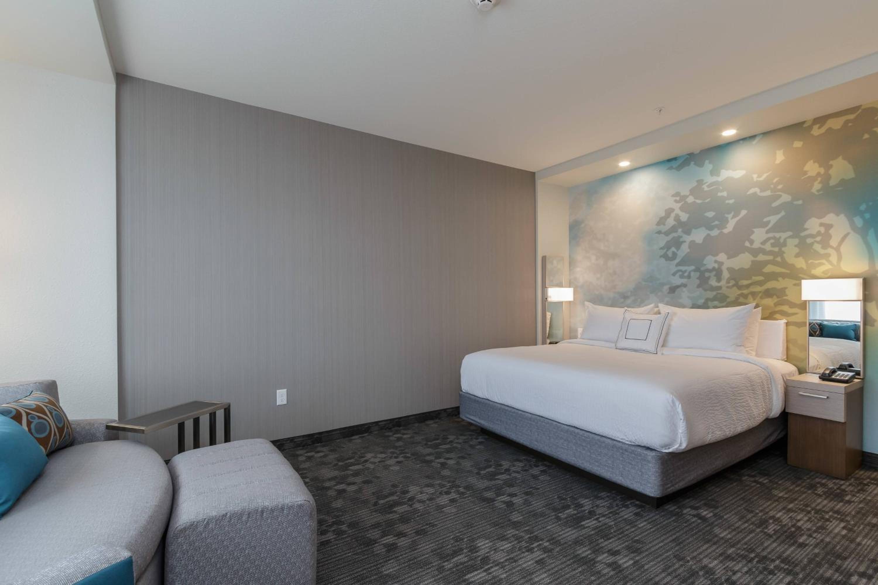 King Room with Roll-In Shower and Sofa Bed - Mobility Access