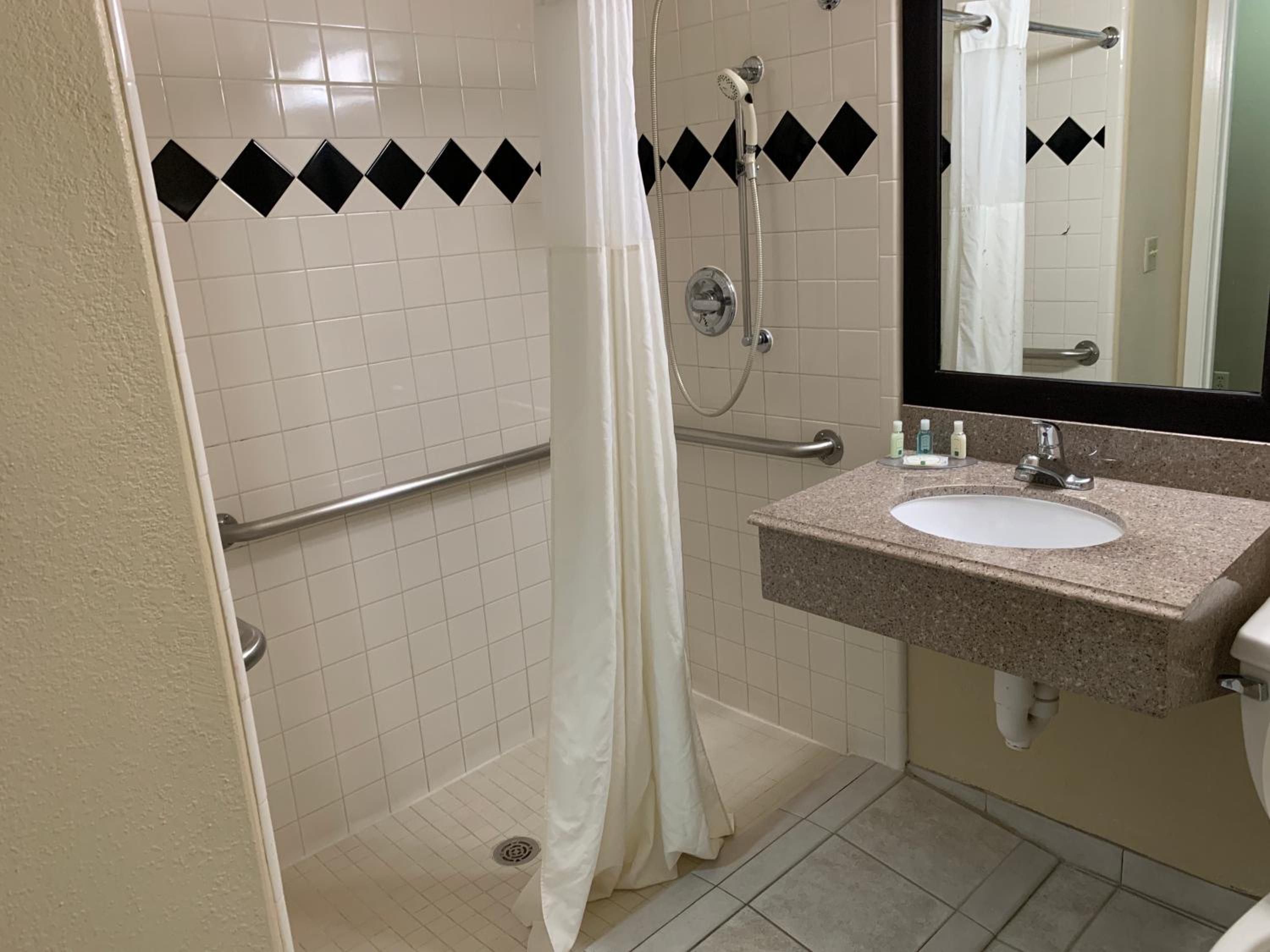 King Suite with  Roll-in-Shower - Accessible/Non-Smoking - Photo 5