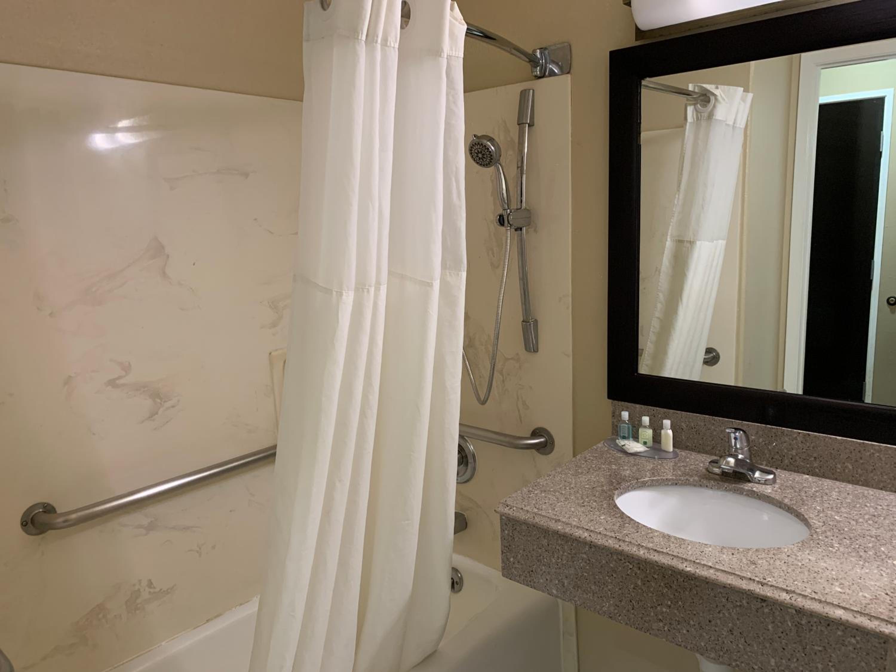 King Suite with Accessible Tub - Accessible/Non-Smoking - Photo 6