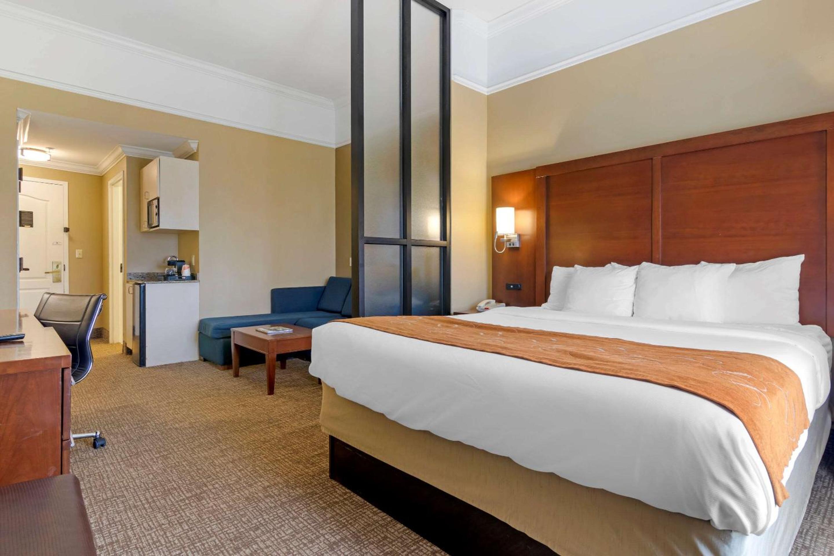 King Suite photo 1