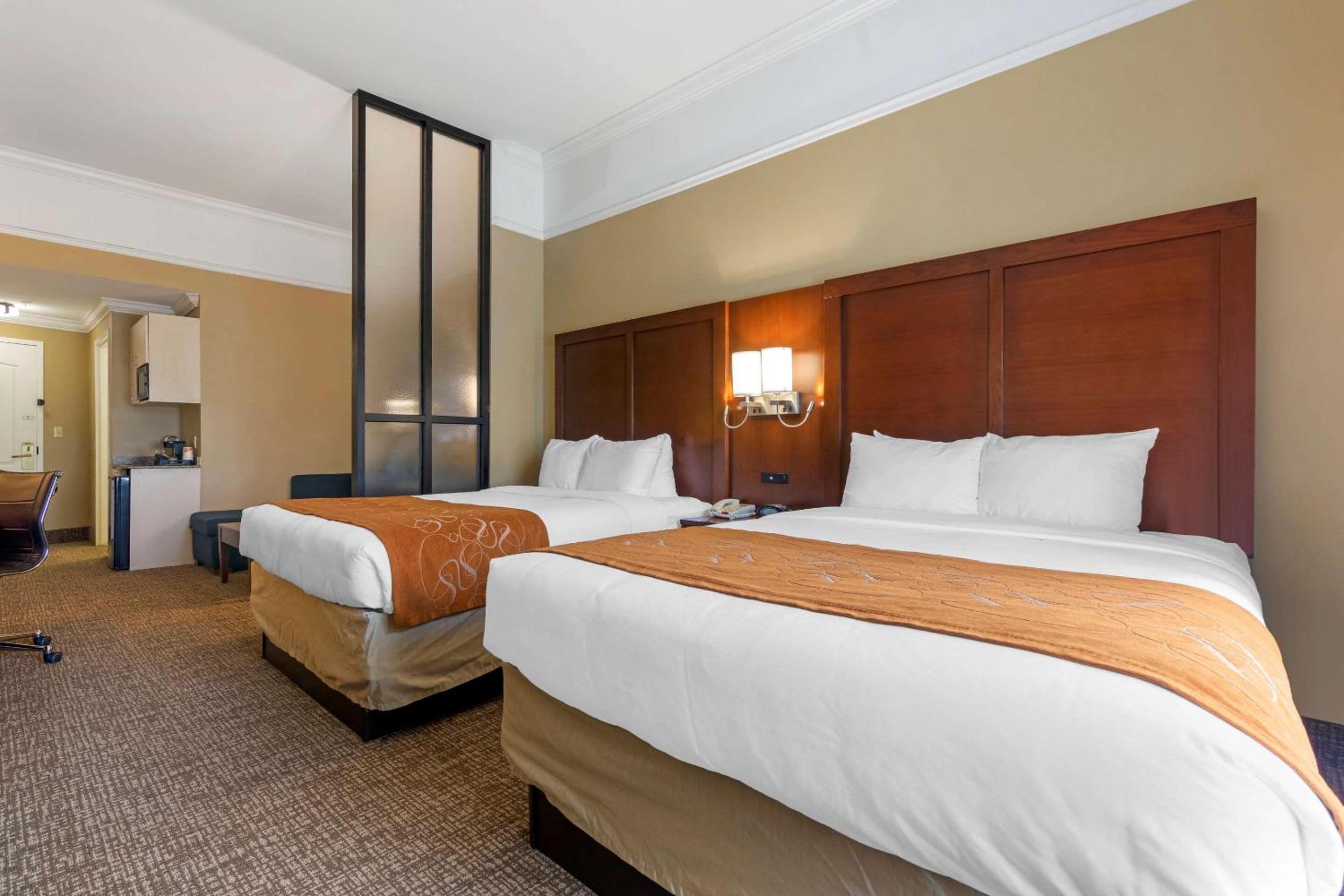 Queen Suite - Non Smoking/Pet Friendly photo 1