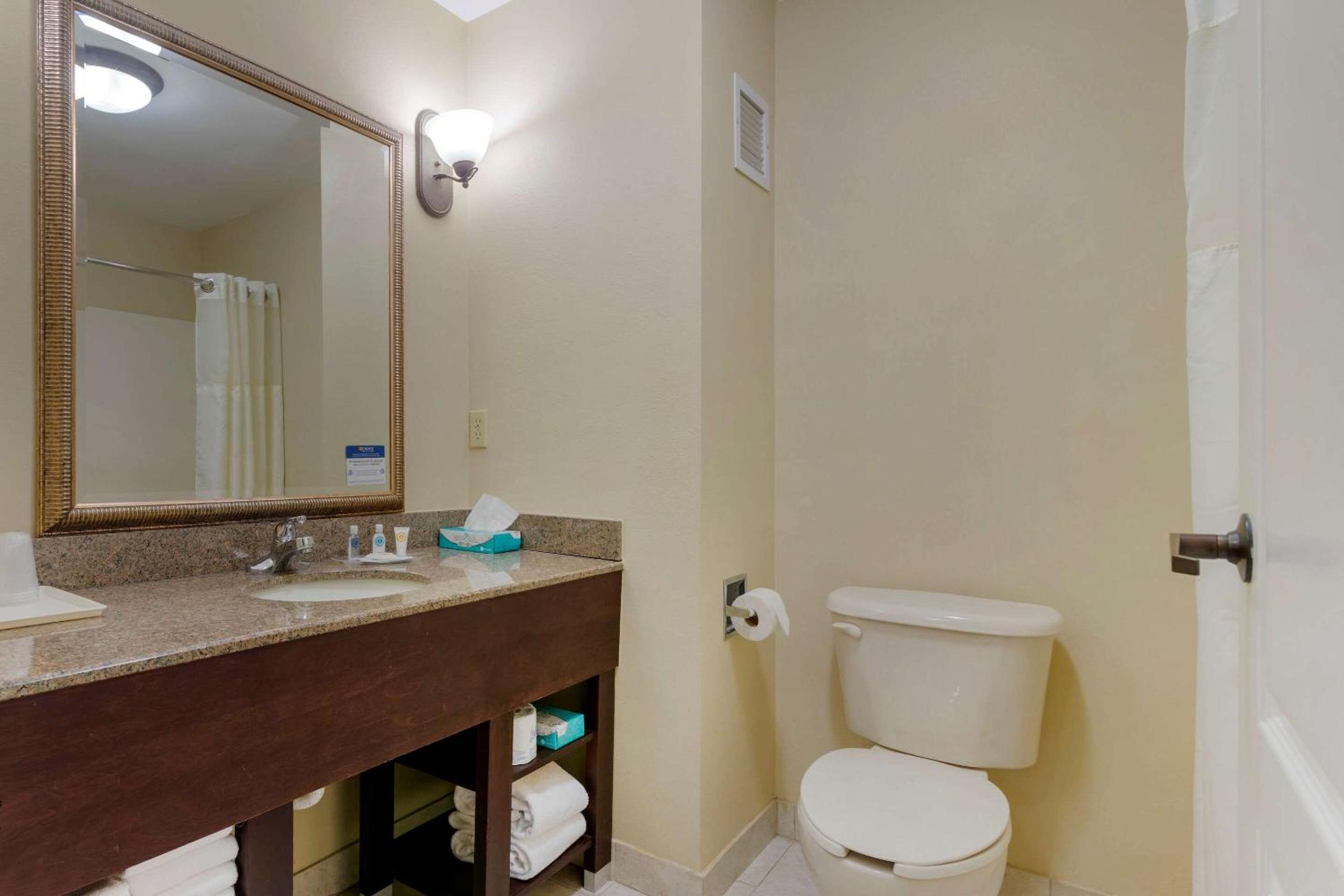 Queen Suite - Non Smoking/Pet Friendly photo 3