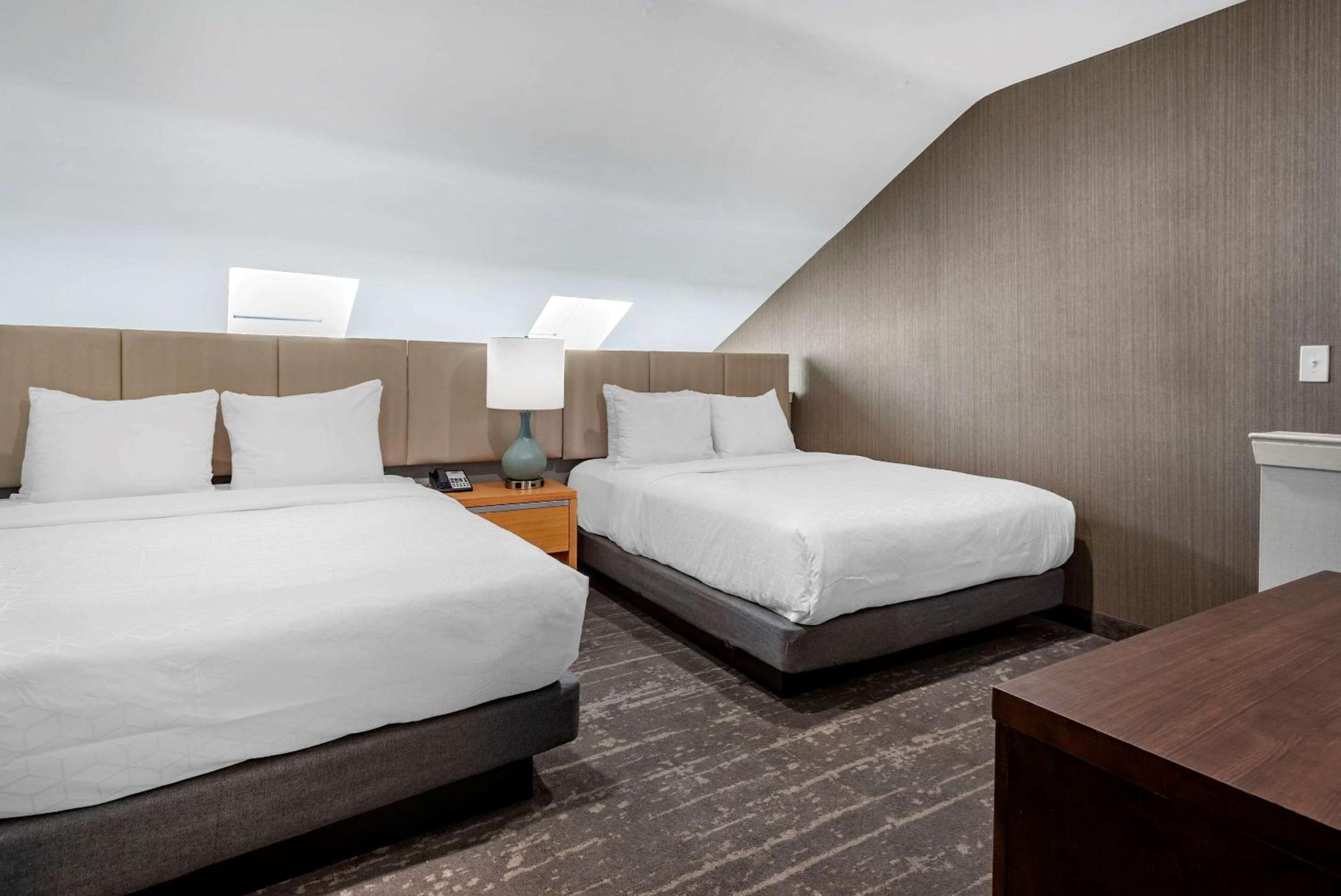 Queen Suite with Two Queen Beds - Non-Smoking photo 3