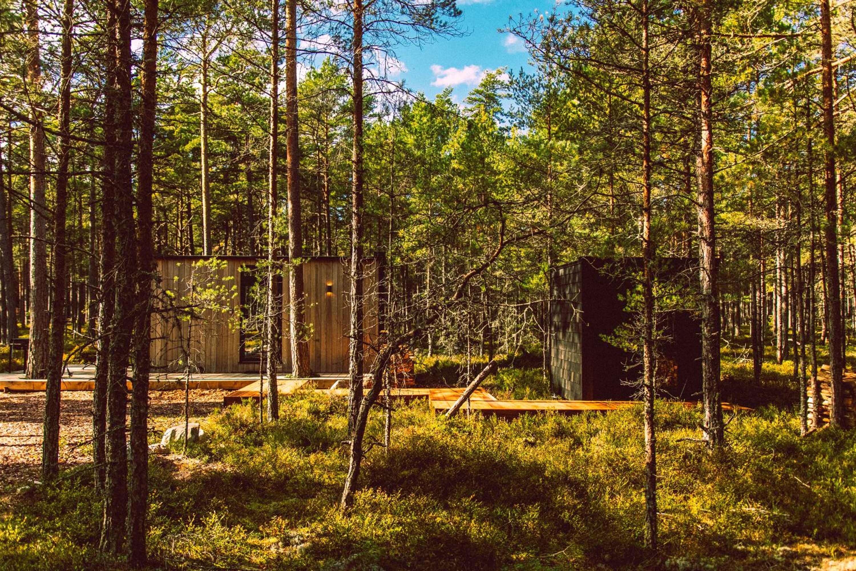 Apartment with Sauna - Photo 11