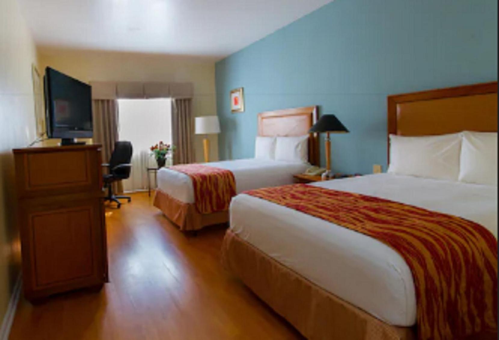 Standard Double Room with Two Double Beds - Non-Smoking