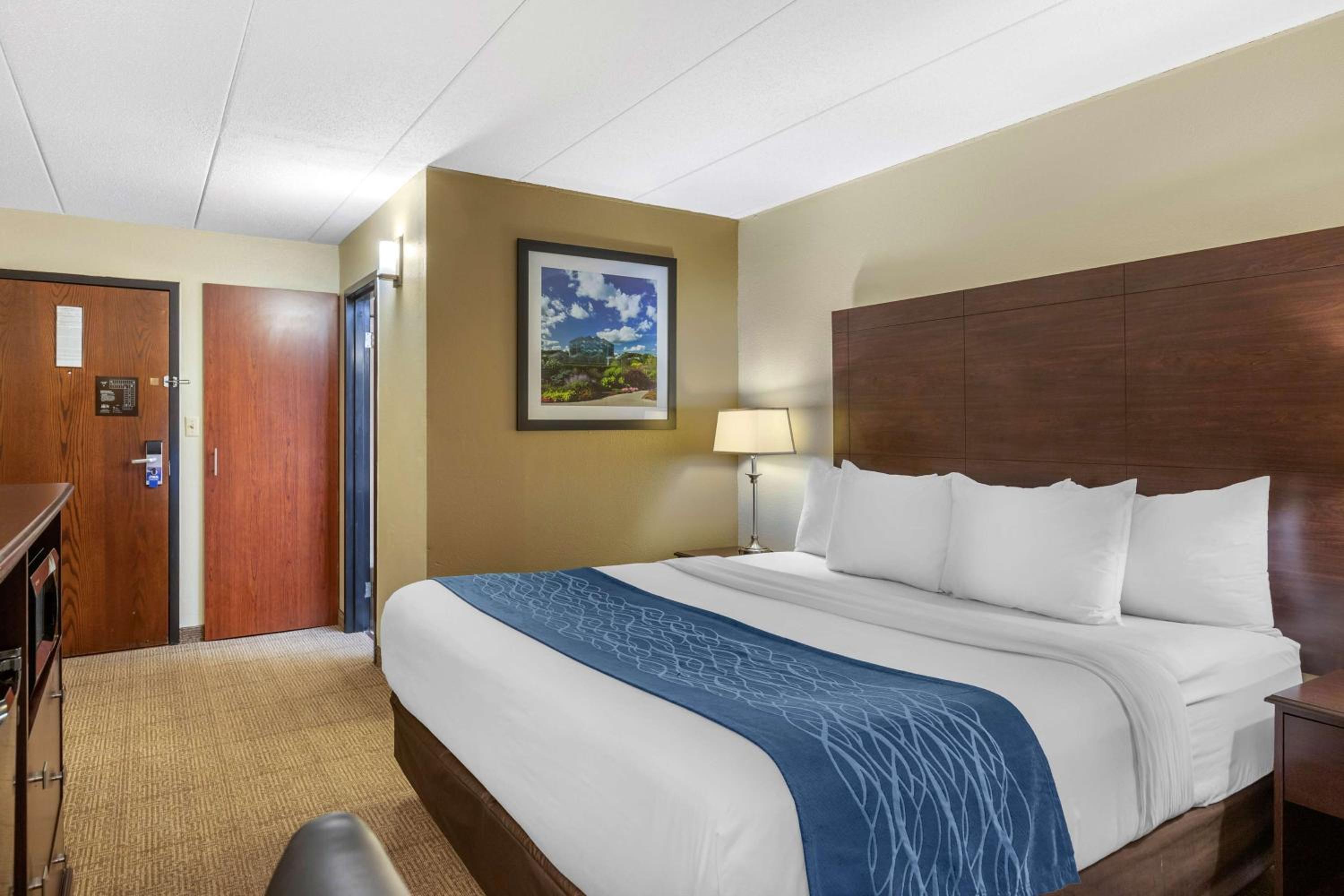 King Room - Non-Smoking - Photo 2