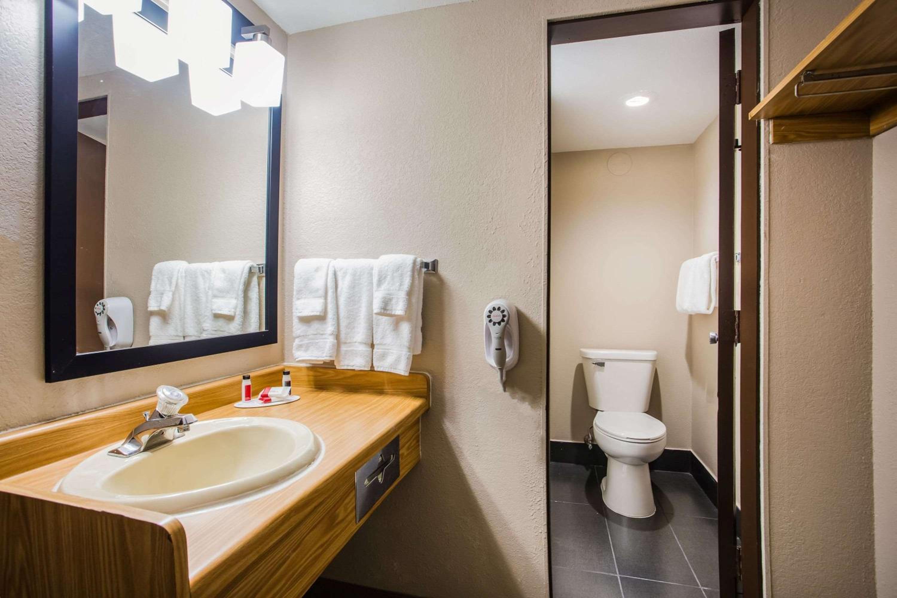 One-Bedroom King Suite - Non-Smoking photo 2