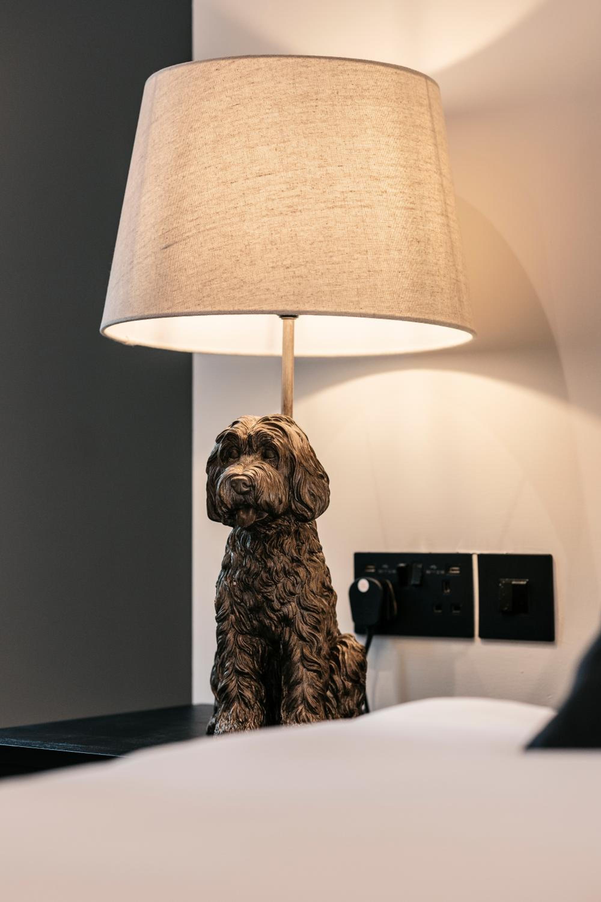 Dachshund Dog - Photo 3