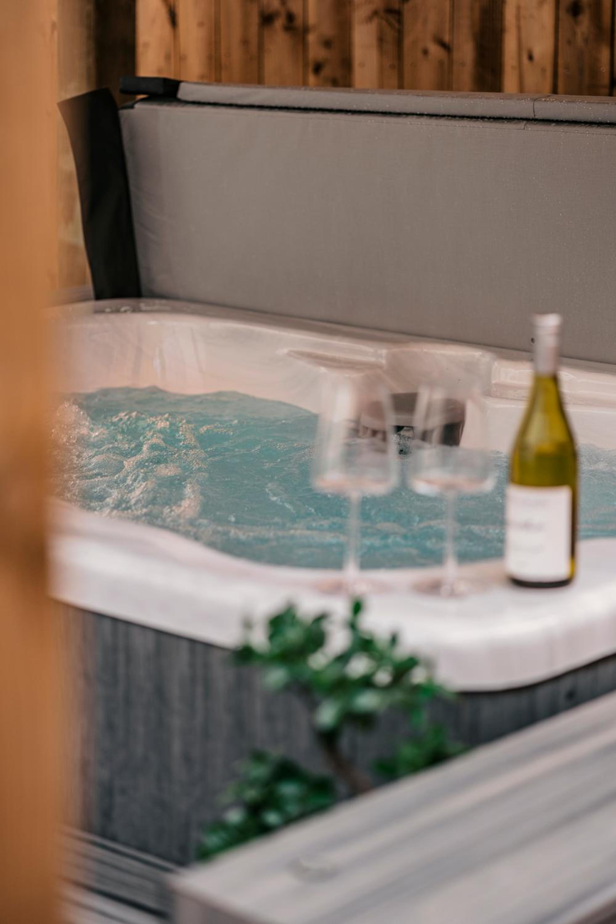 Swan Mute with Hot Tub - Photo 11