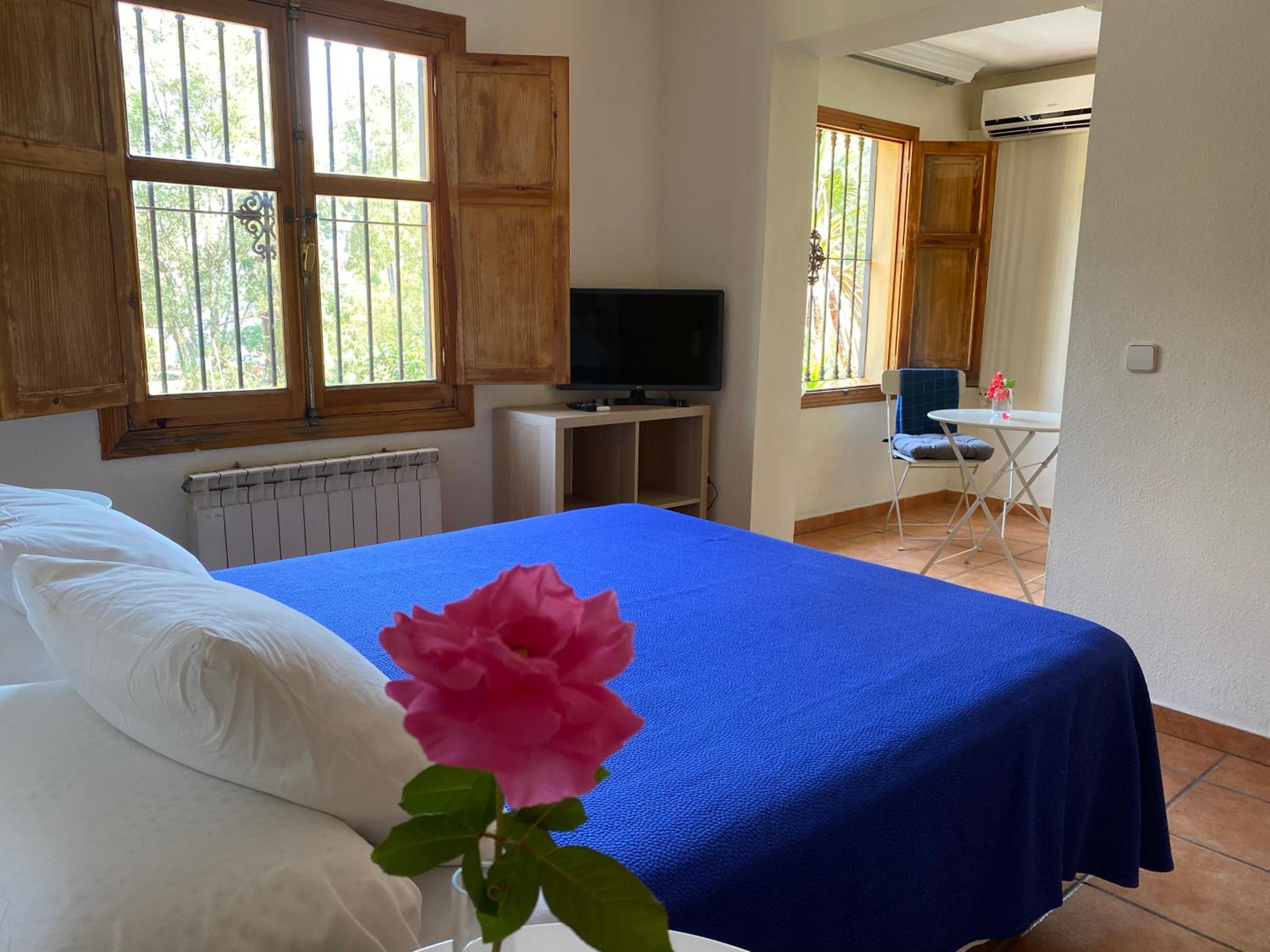 Habitación Superior King