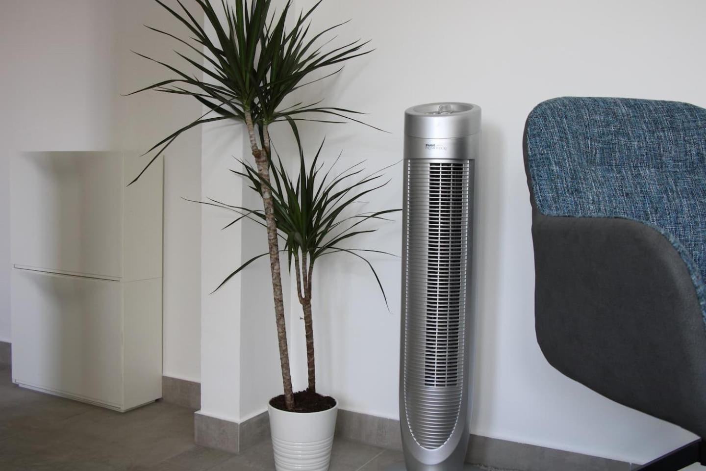 One-Bedroom Apartment - Photo 6