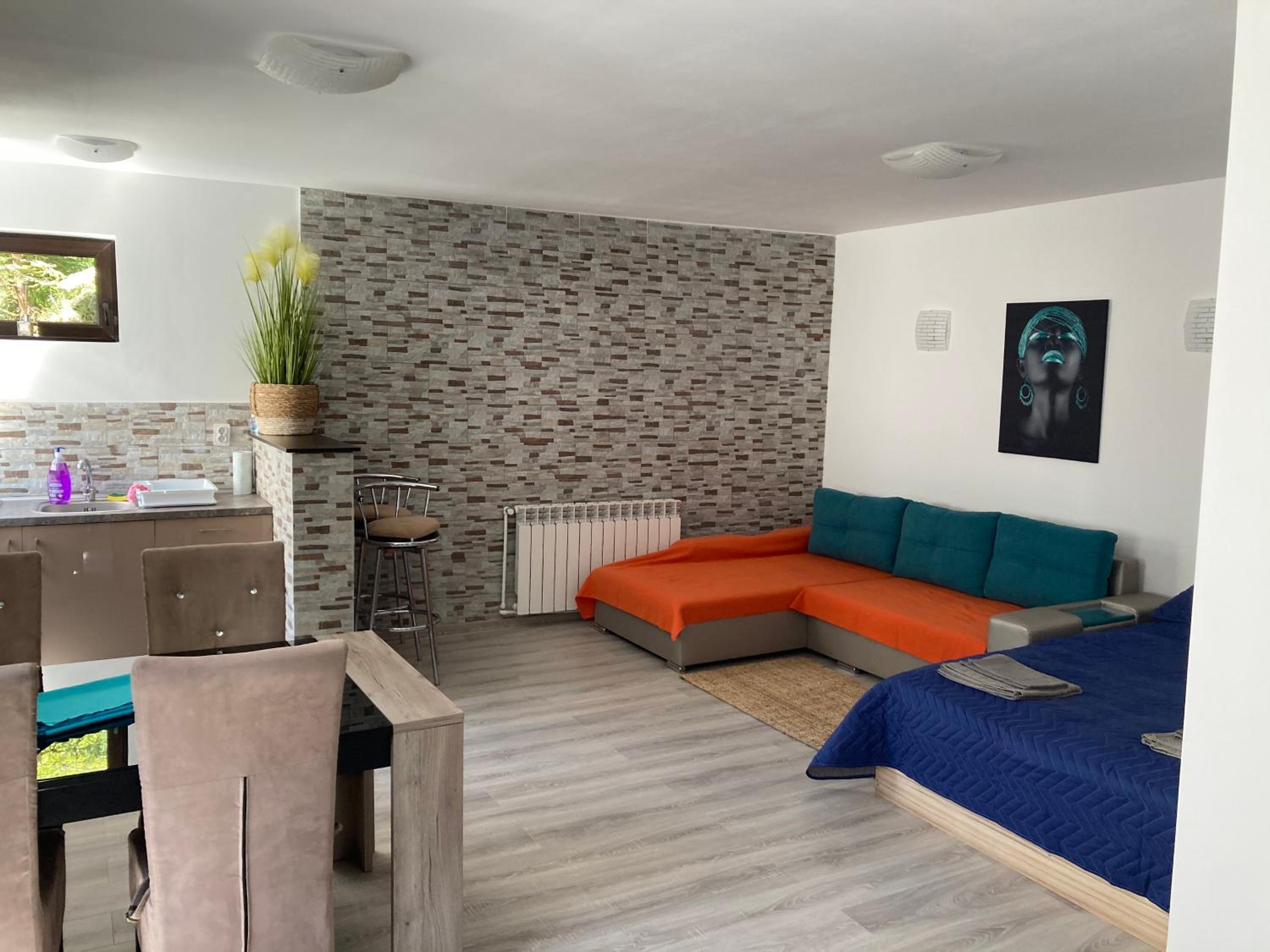 Studio Apartment photo 2