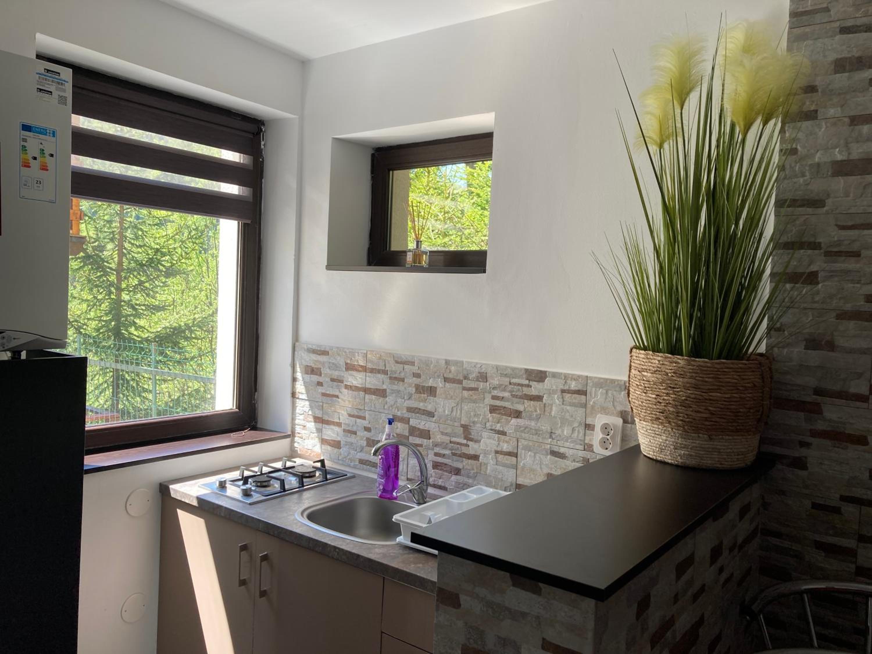 Studio Apartment photo 3