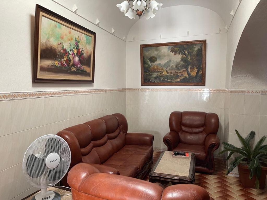 Apartment - Photo 13