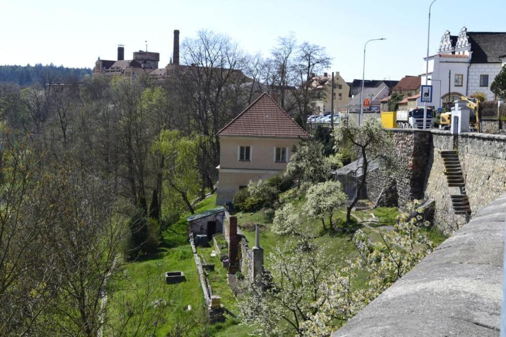 Studio with Garden View