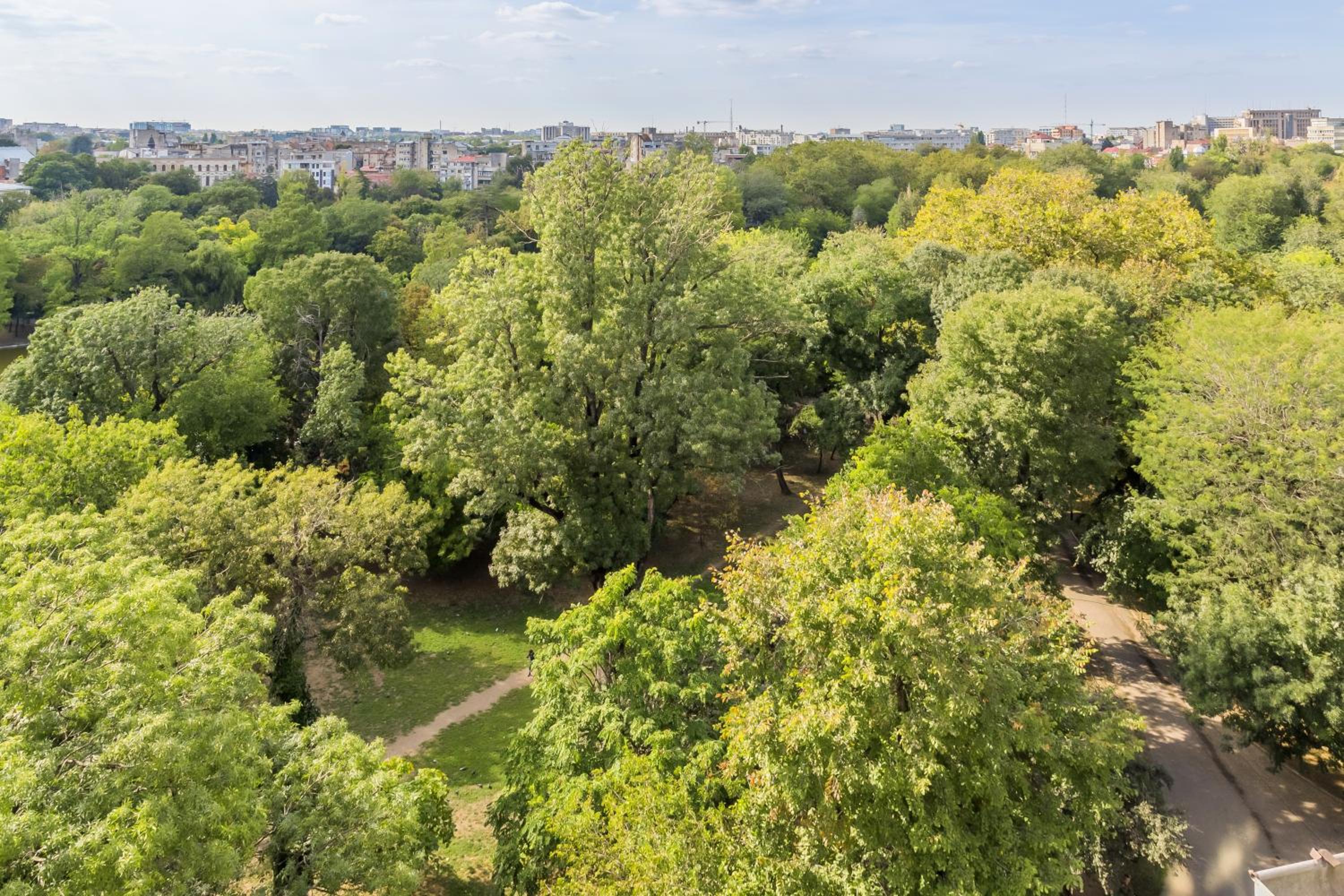 Studio with Garden View - Photo 29