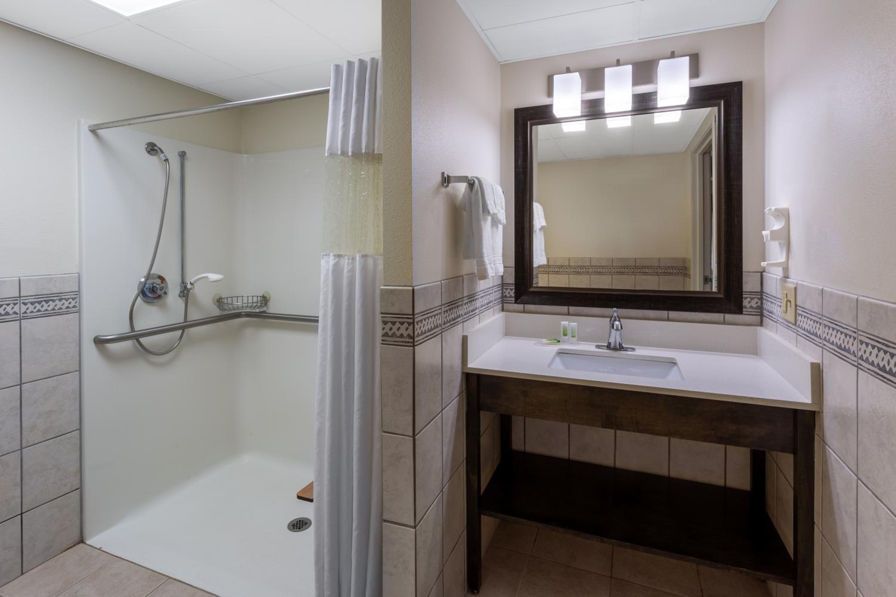 Suite - Mobility Access/Non-Smoking photo 2