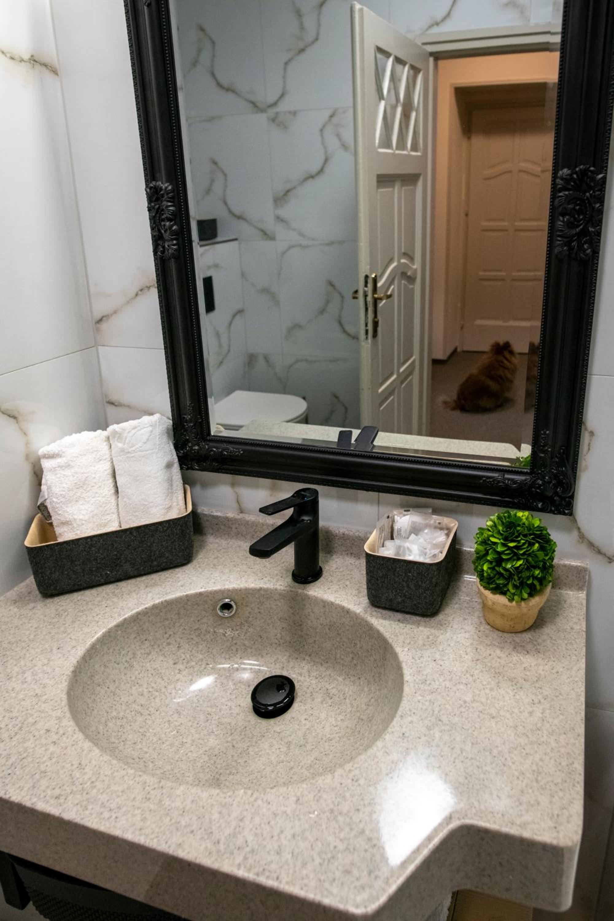 Superior Suite - Photo 2