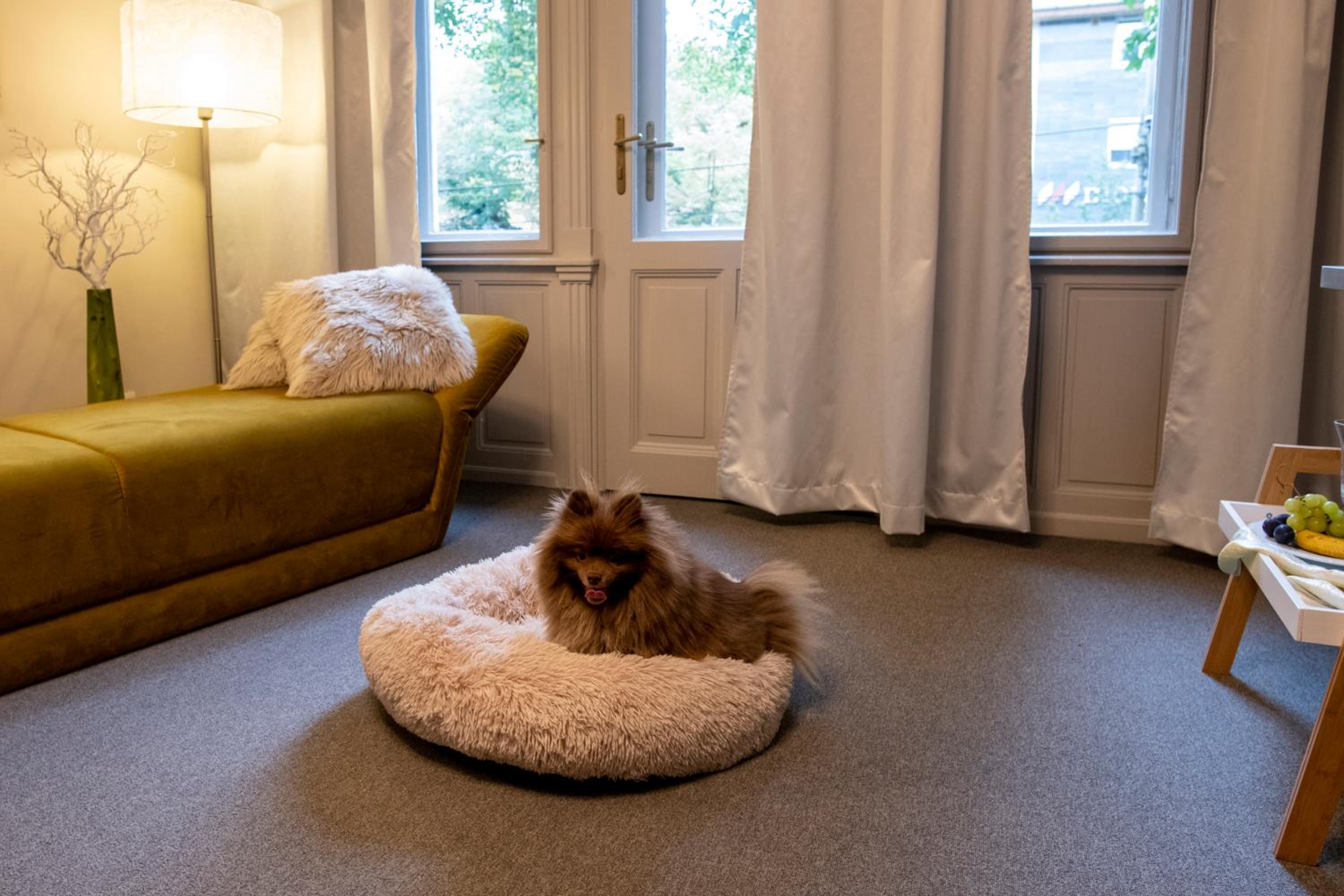 Superior Suite - Photo 5