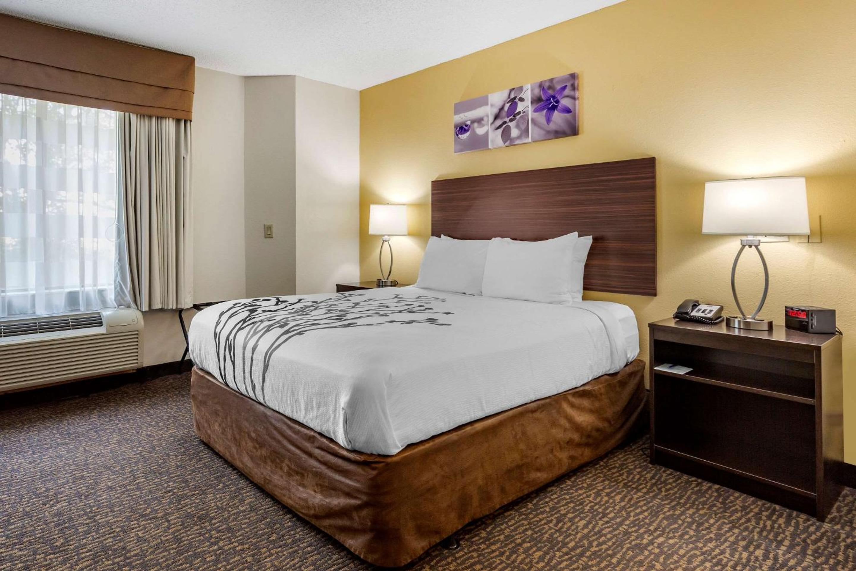 Queen Room - Accessible/Non-Smoking - Photo 1