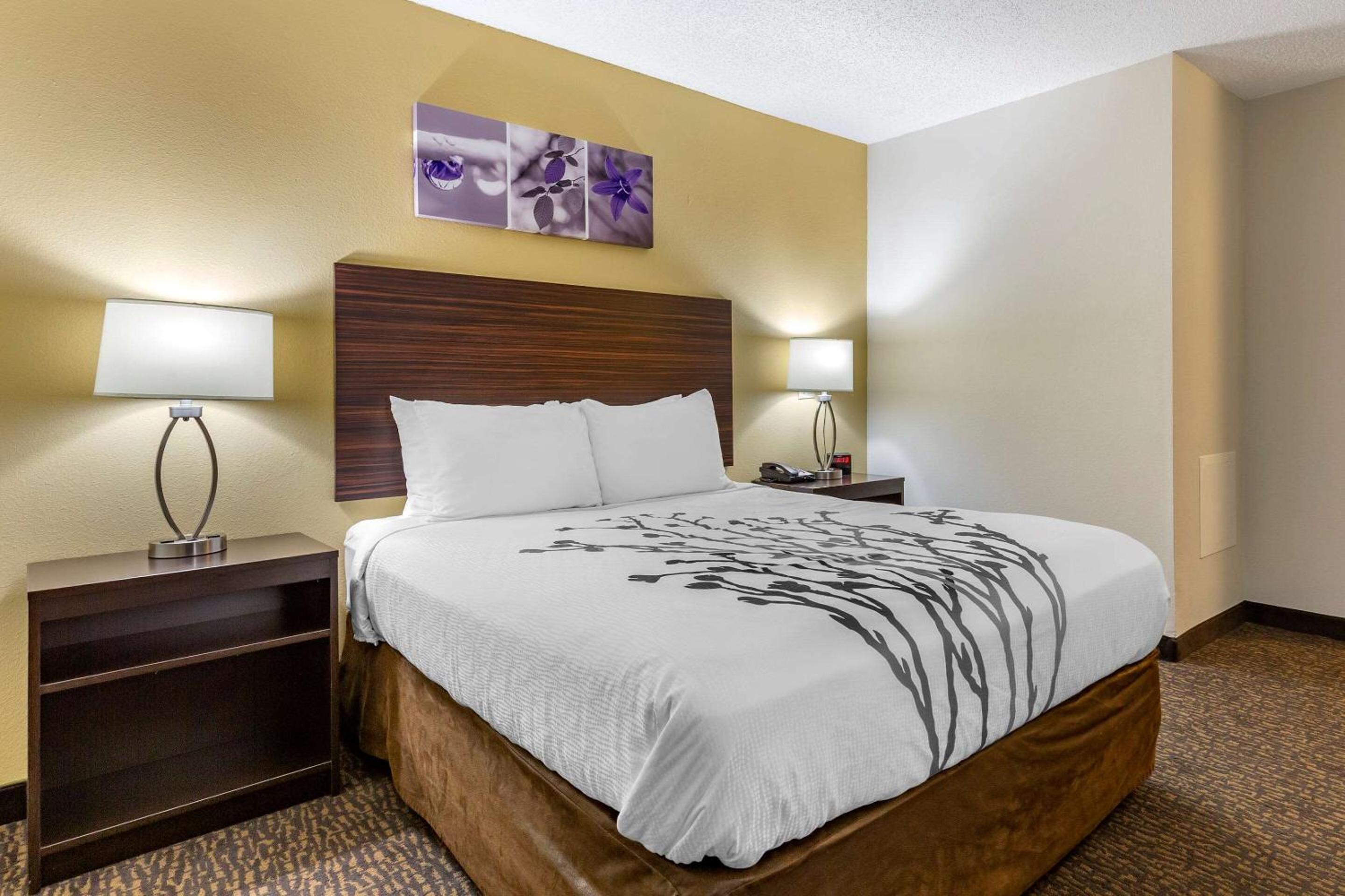 Queen Room - Accessible/Non-Smoking - Photo 3