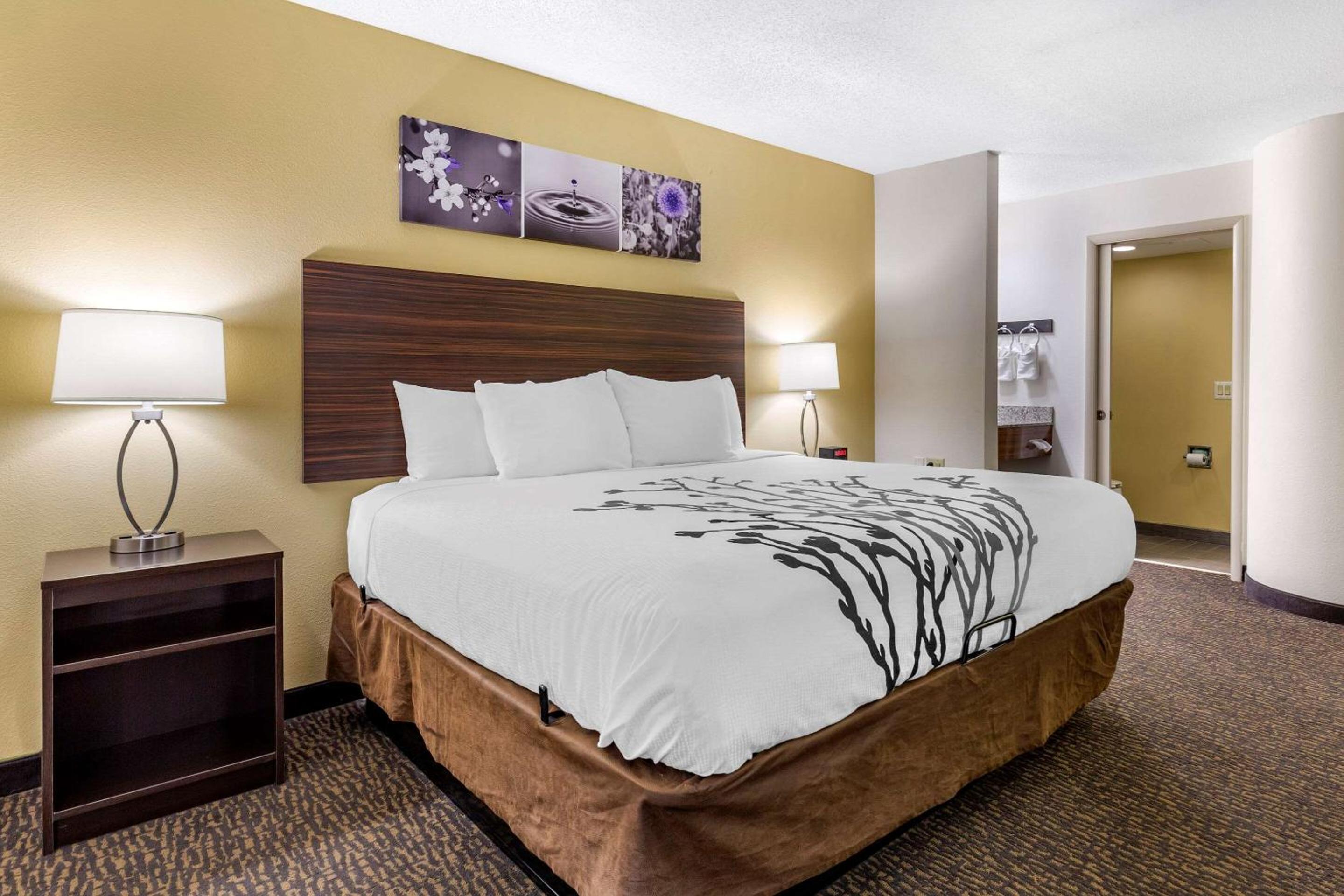 King Room - Non-Smoking - Photo 1