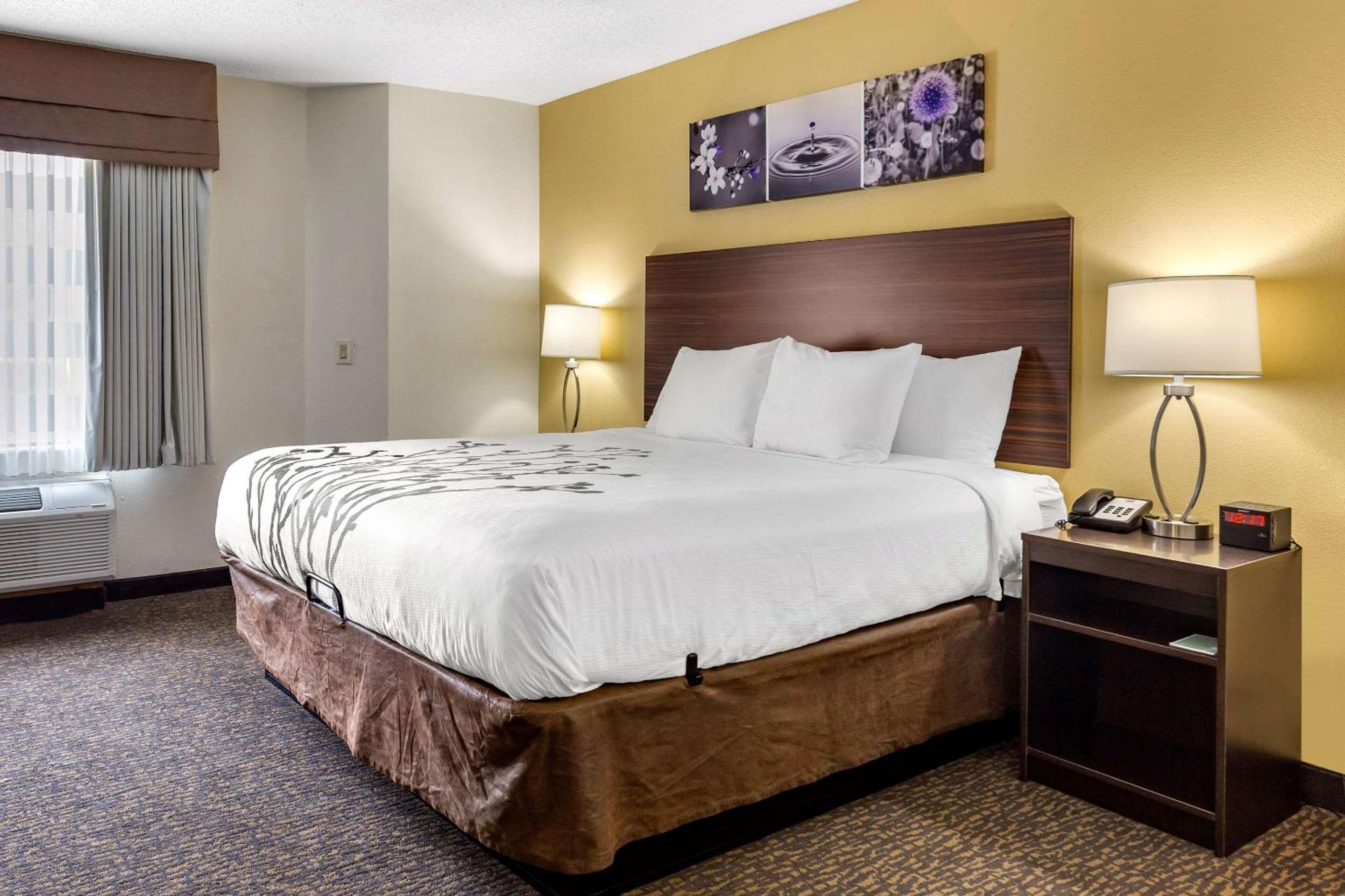 King Room - Non-Smoking - Photo 3