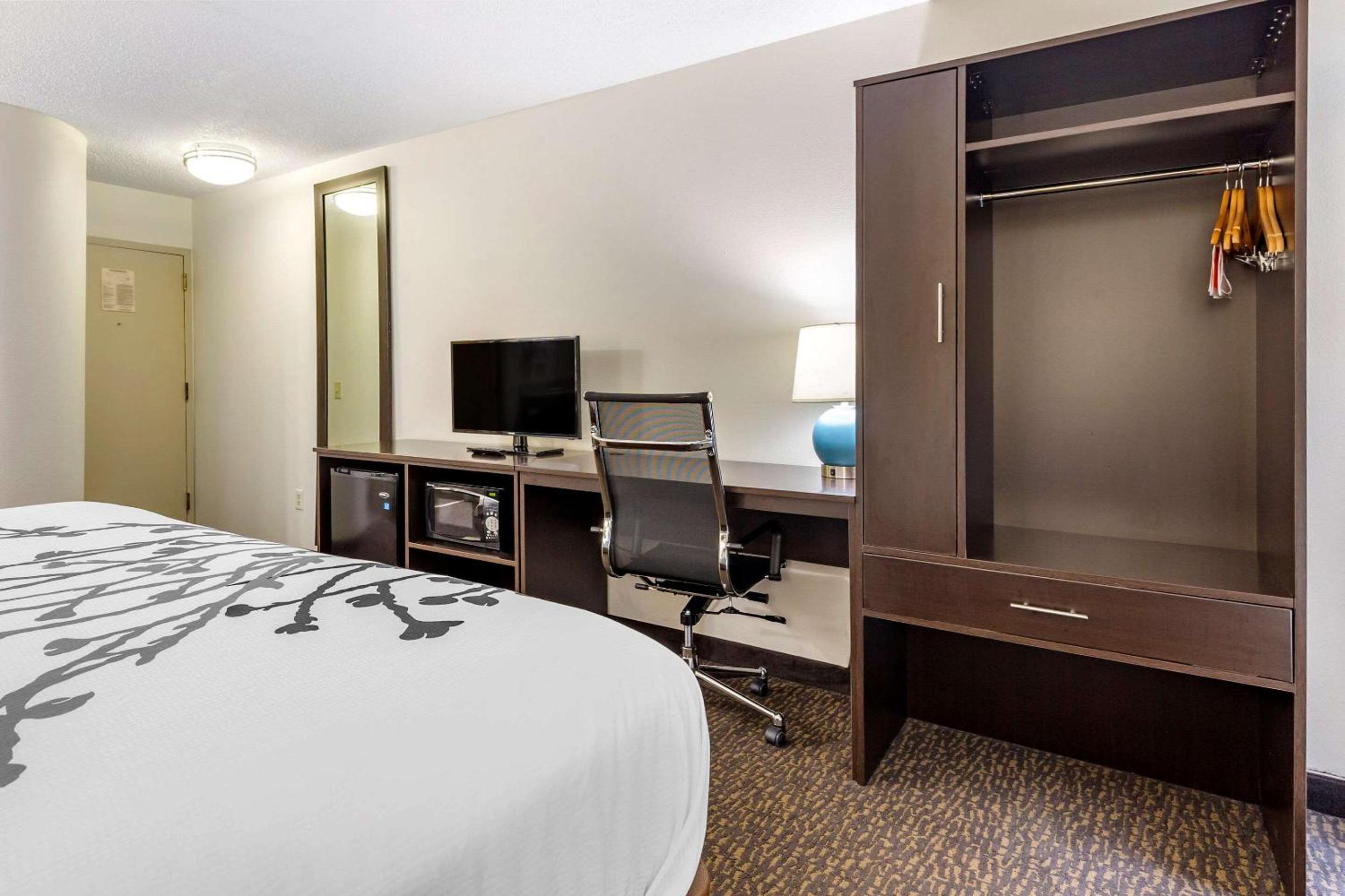 King Room - Non-Smoking - Photo 2
