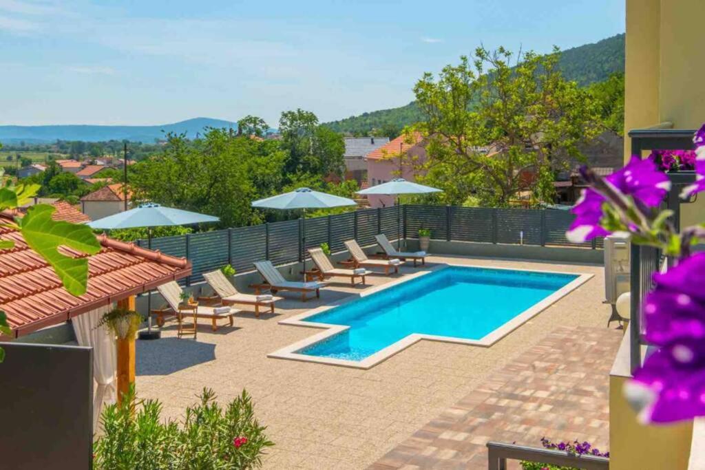 Superior Villa photo 2