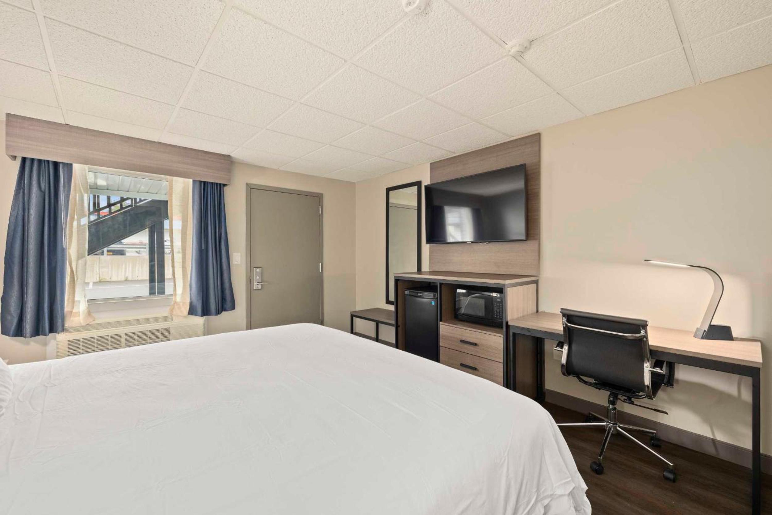 King Room photo 1