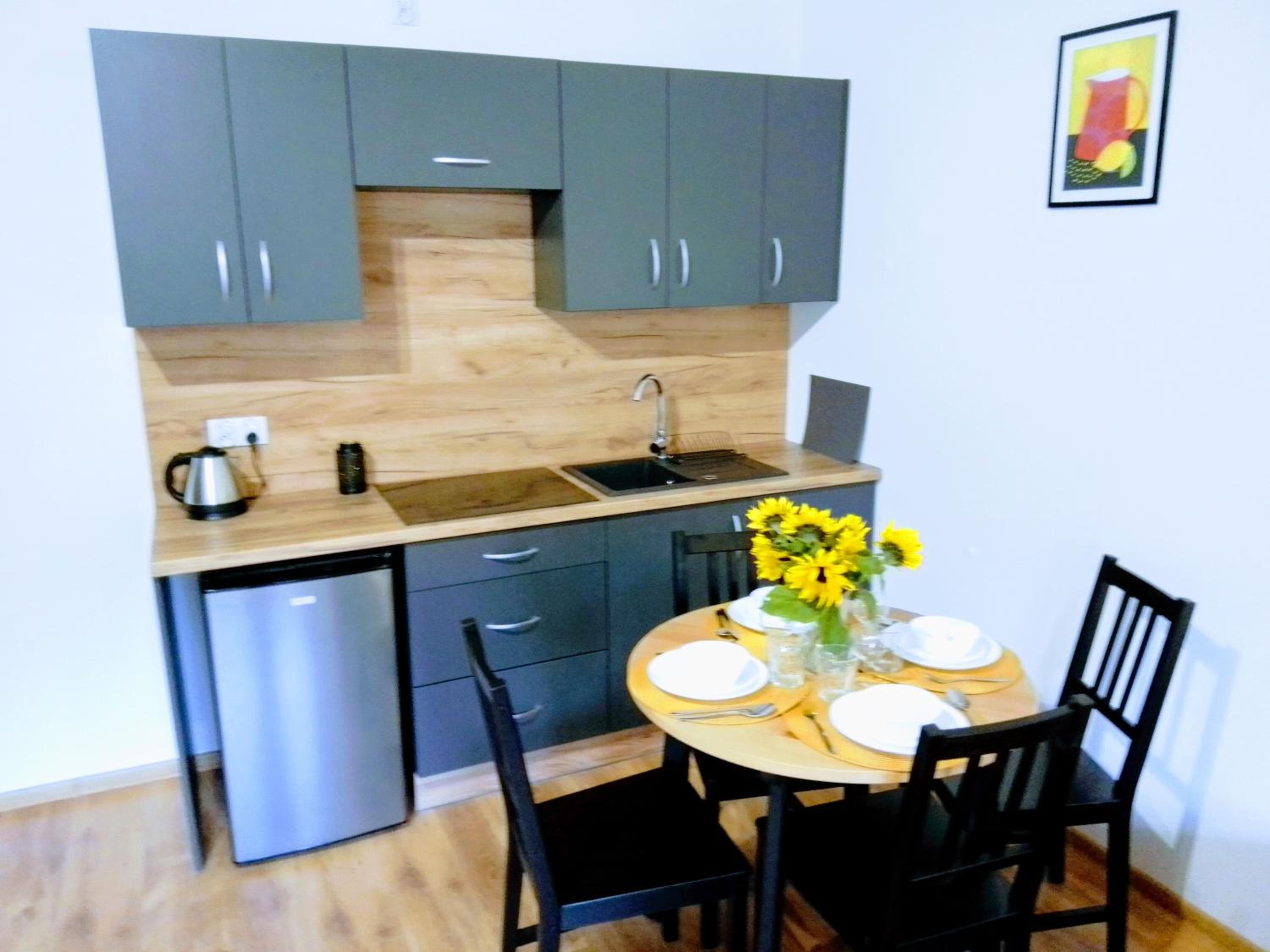 Studio Apartment photo 3