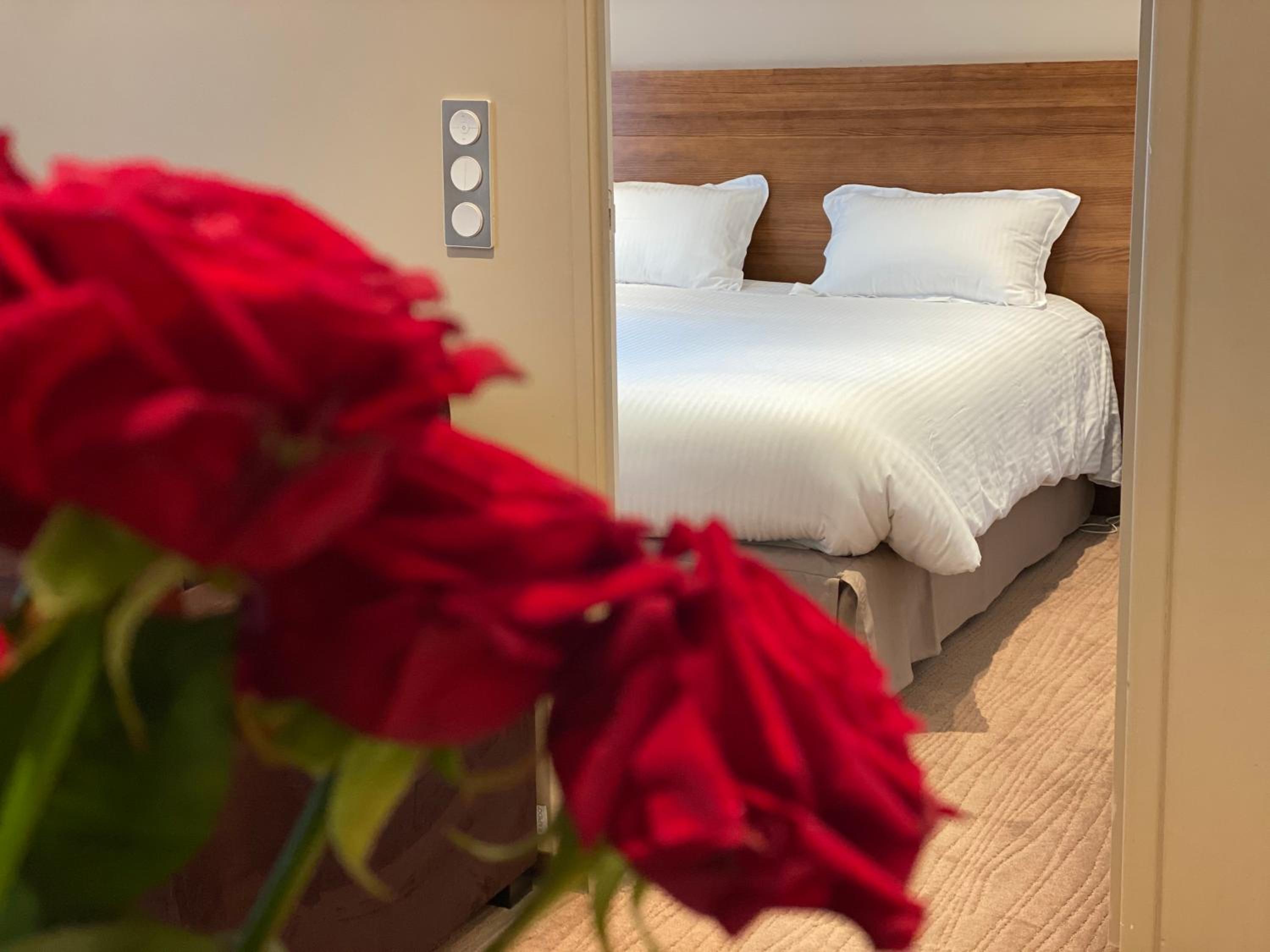 Deluxe Suite with Terrace photo 2