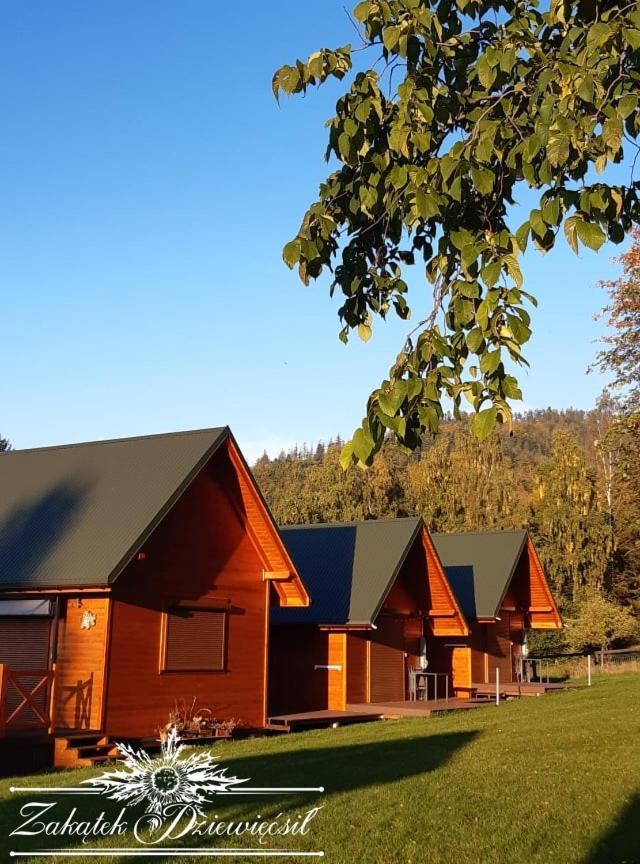 Chalet with Mountain View photo 3