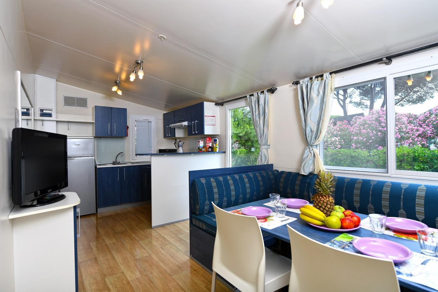 Large Mobile Home photo 2