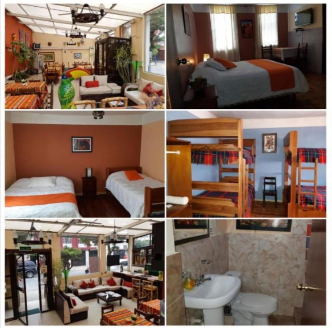 Single Room photo 1