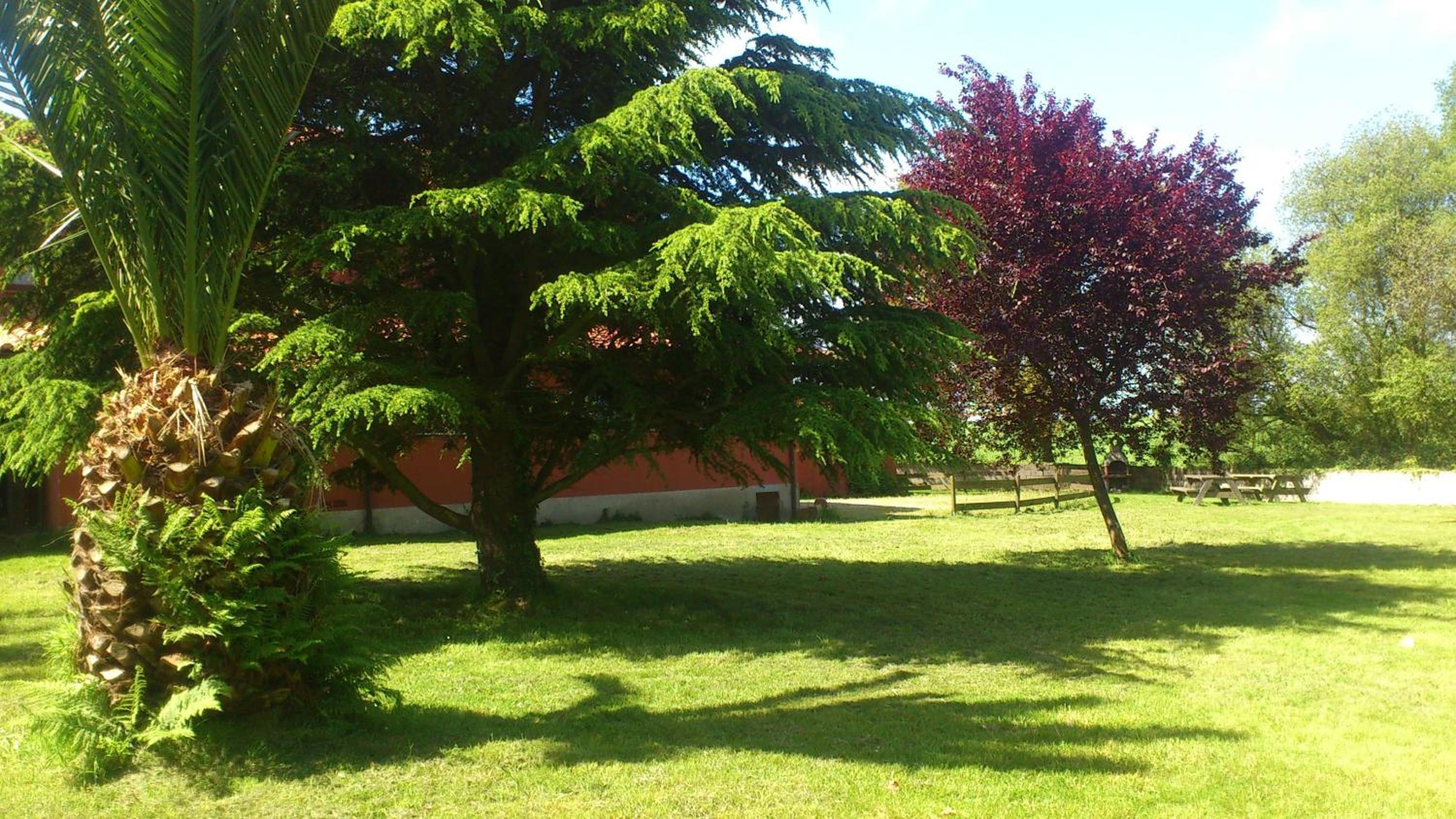 Two-Bedroom Apartment with Garden View photo 3