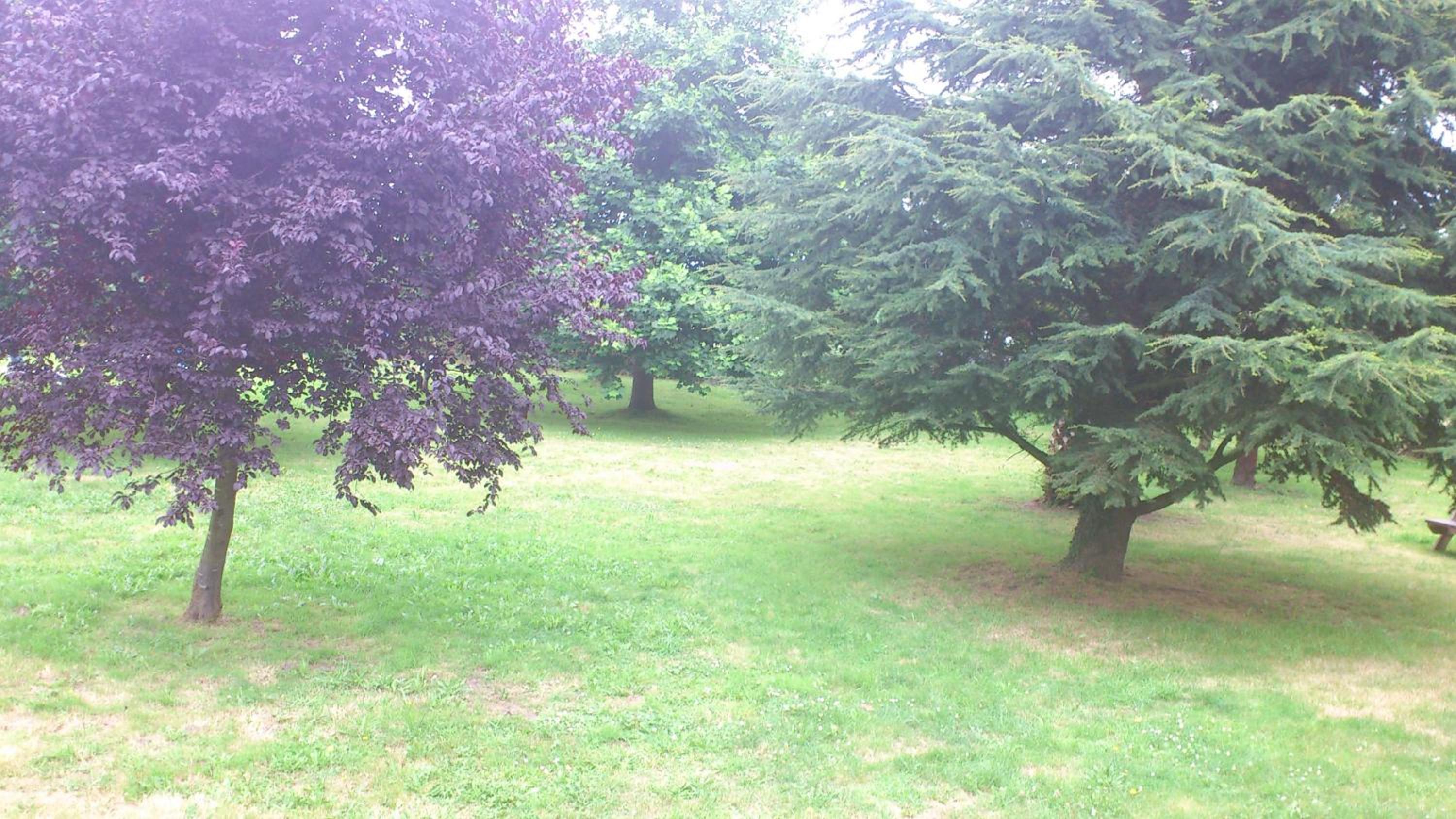 Two-Bedroom Apartment with Garden View photo 2