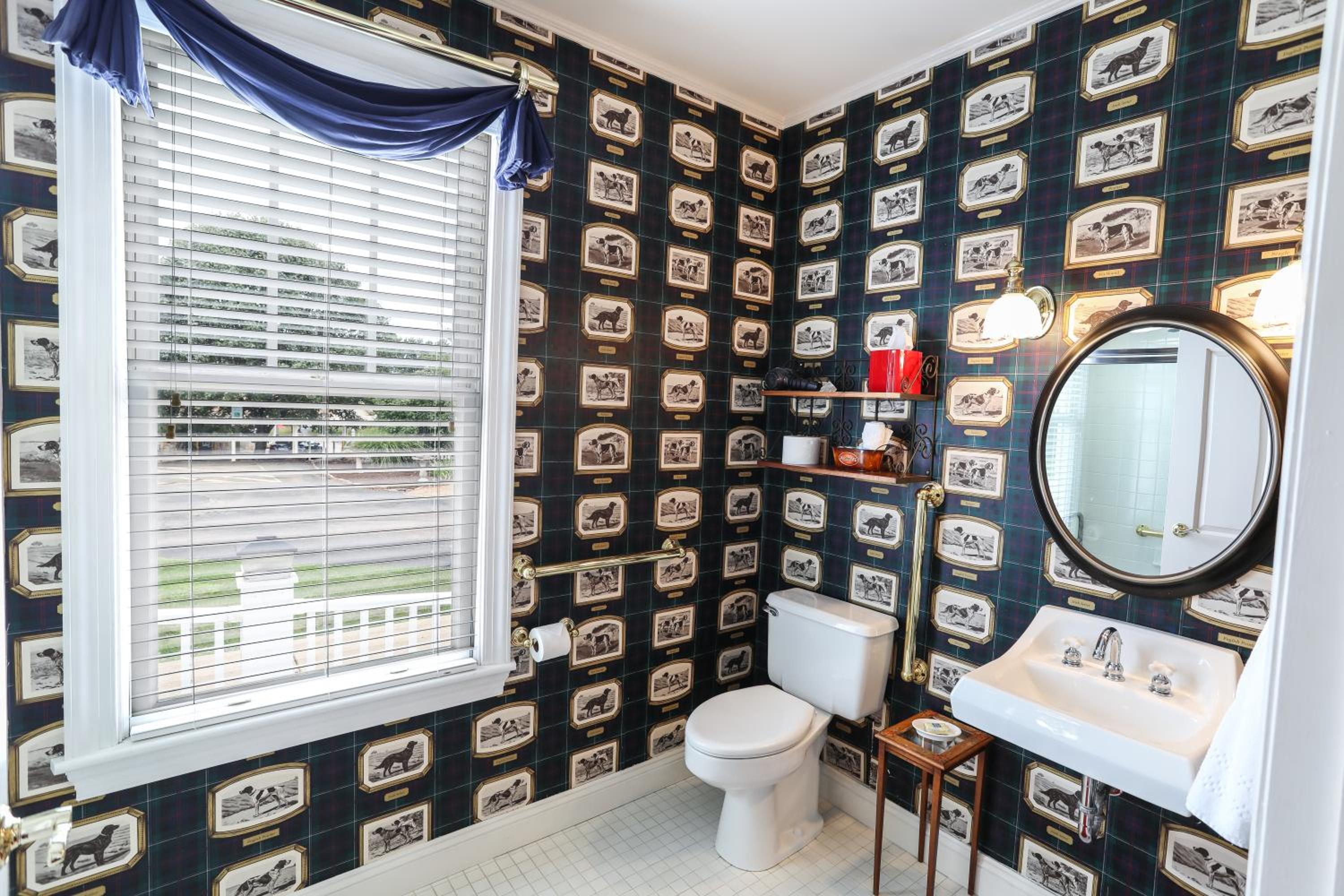 King Room - Disability Access photo 3