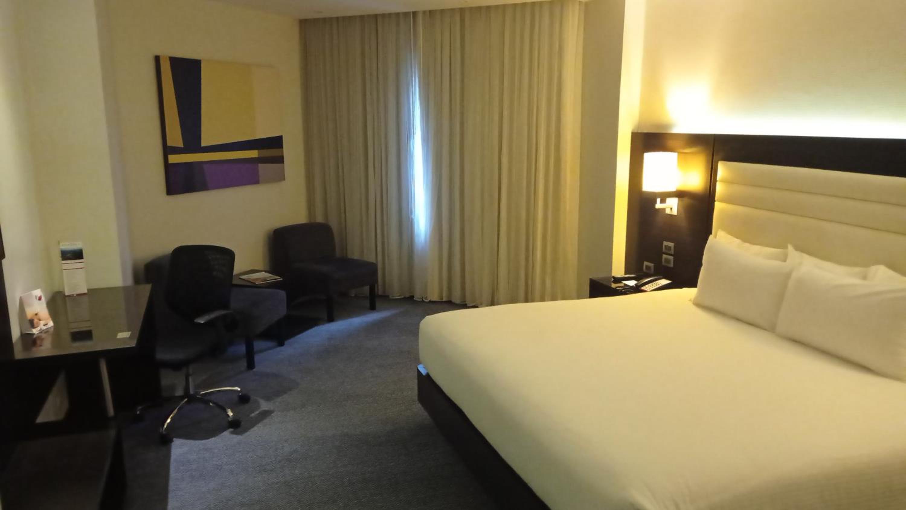 Deluxe King Suite photo 3
