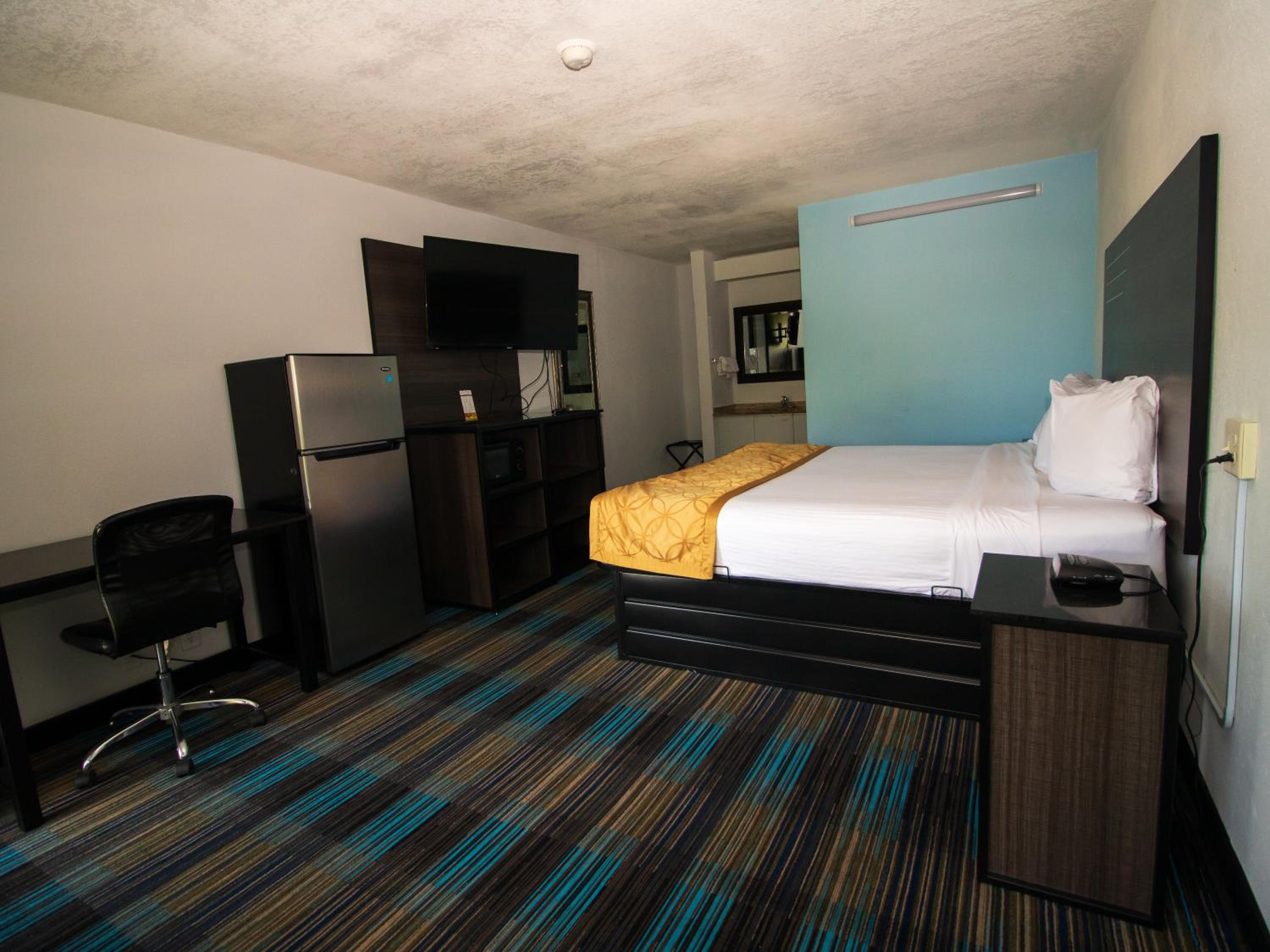 King Room photo 2