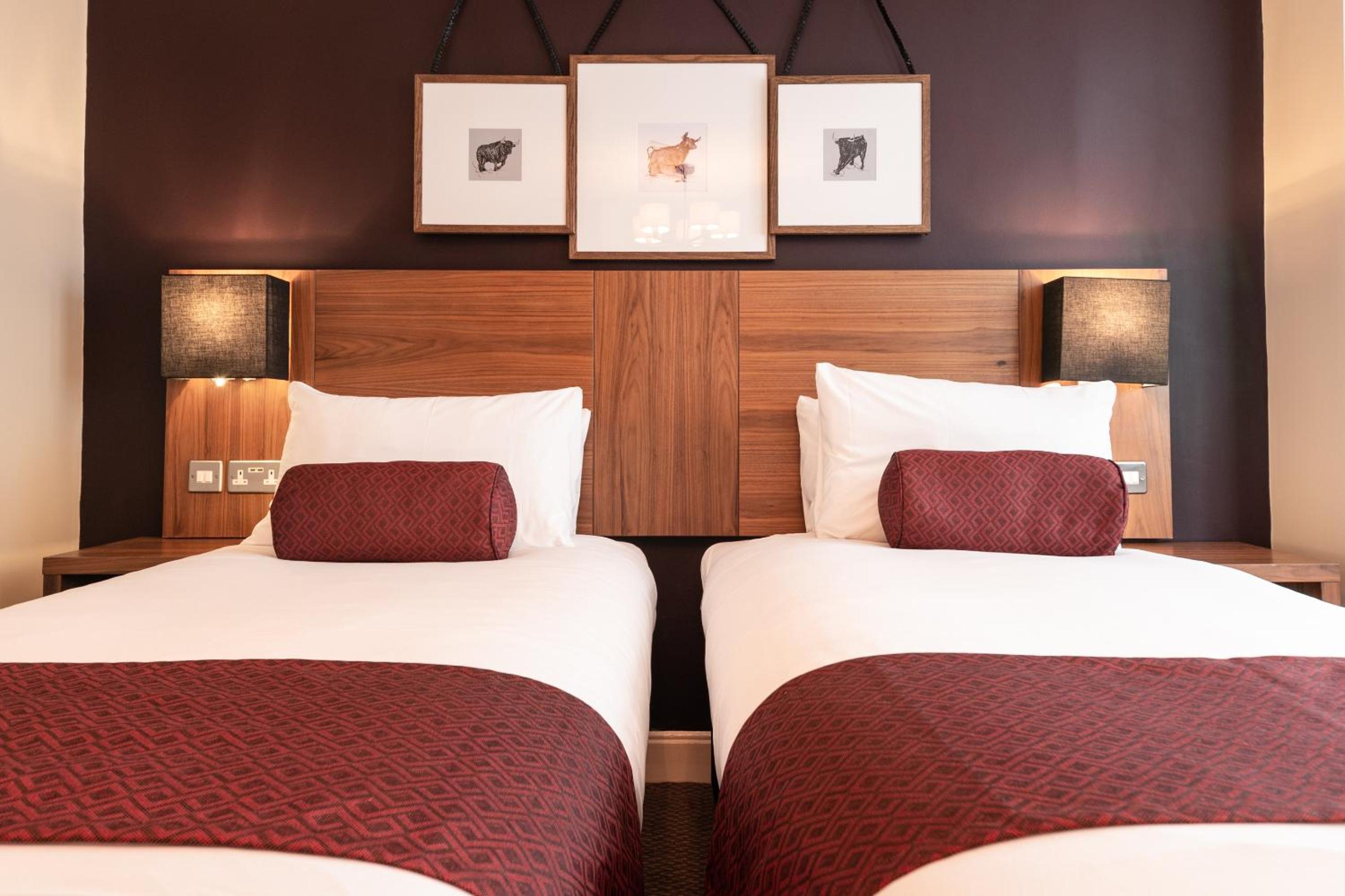Standard Twin Room photo 1