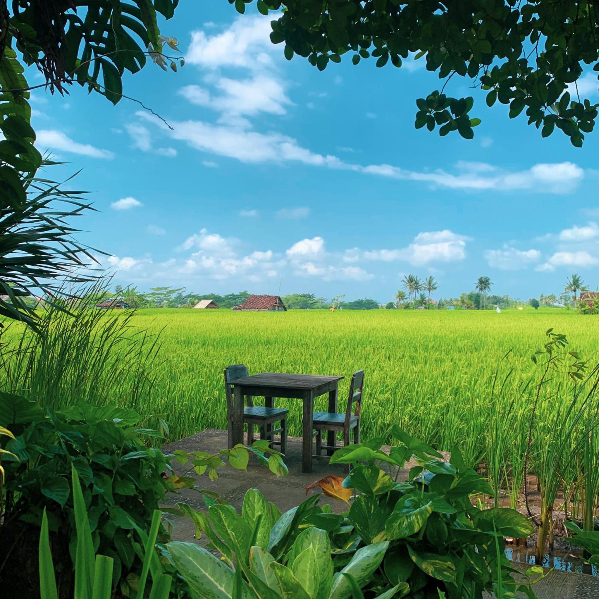 Joglo Villa - Photo 3