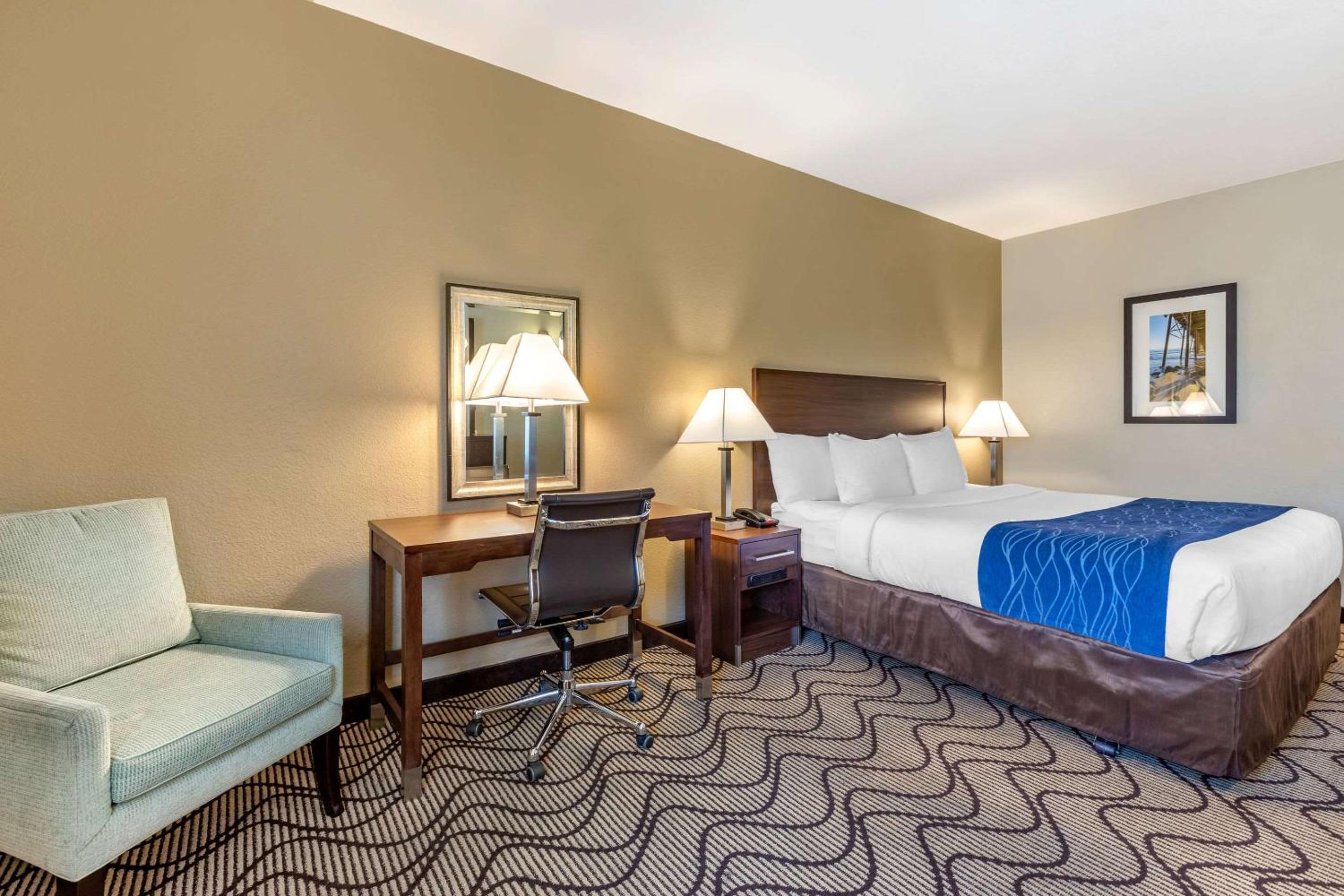 Standard Room, 1 King Bed, Accessible Roll-In Shower, Non Smoking - Photo 2